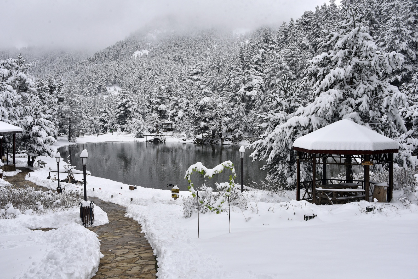 Beyazın en çok yakıştığı yer: Limni Gölü 21