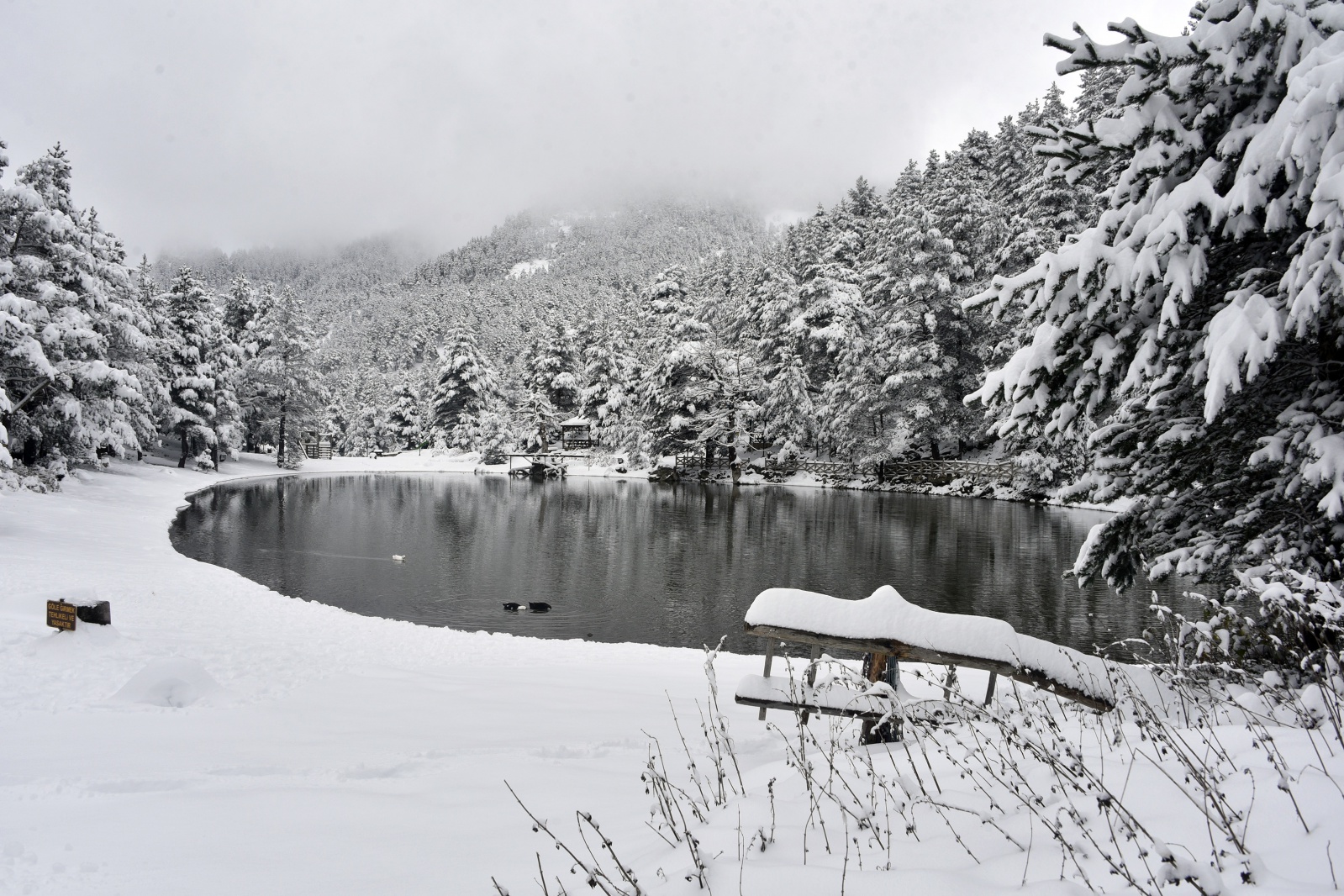 Beyazın en çok yakıştığı yer: Limni Gölü 7