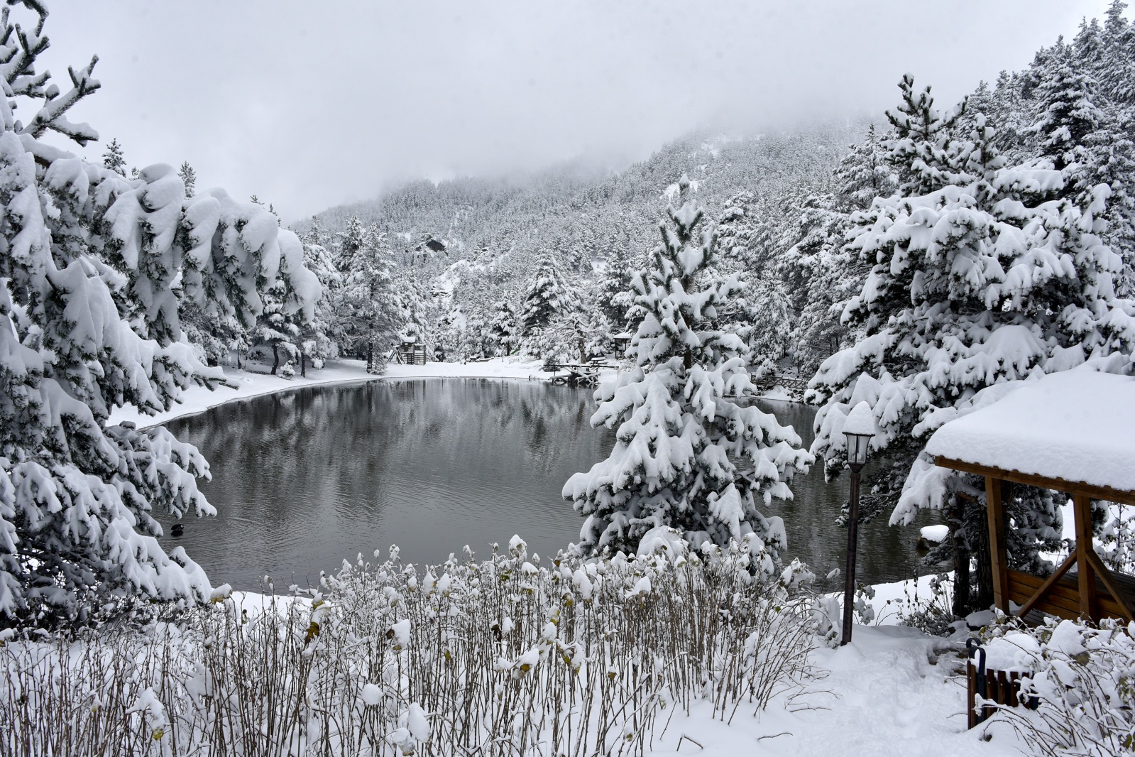 Beyazın en çok yakıştığı yer: Limni Gölü 13