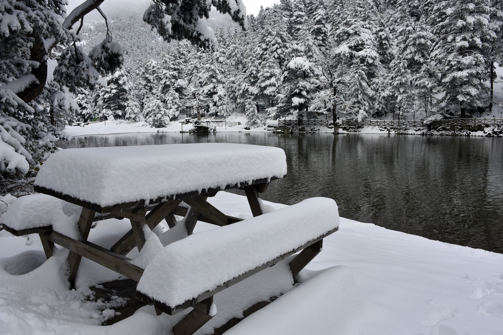 Beyazın en çok yakıştığı yer: Limni Gölü 16