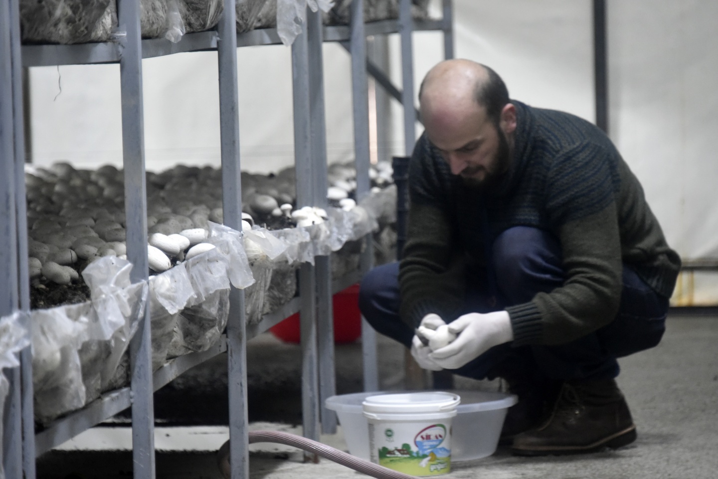 Olmaz denileni yaptı şimdi binlerce ton mantar üretiyor 21