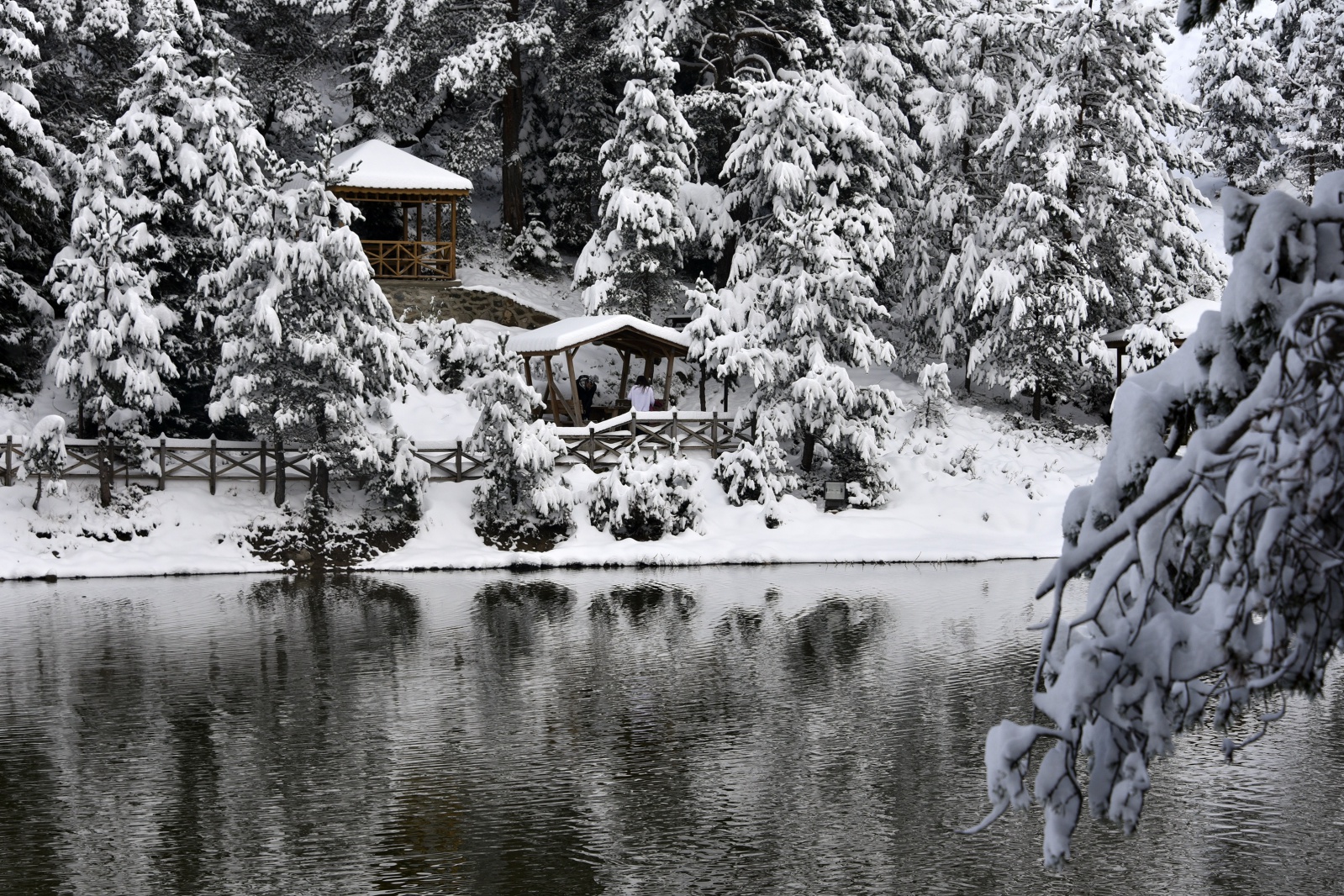 Beyazın en çok yakıştığı yer: Limni Gölü 12