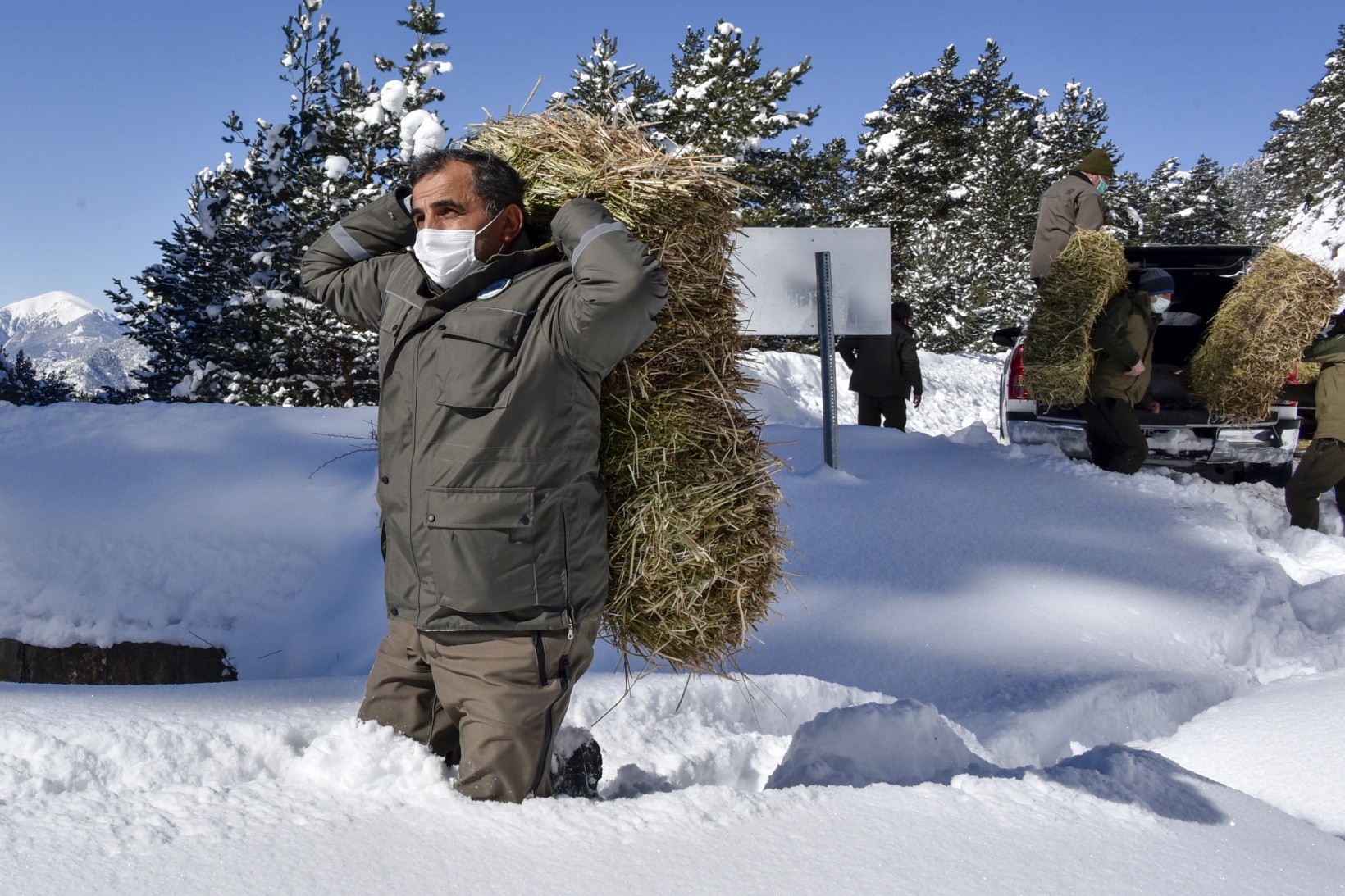 Gümüşhane'de yaban hayvanları aç bırakılmıyor 27