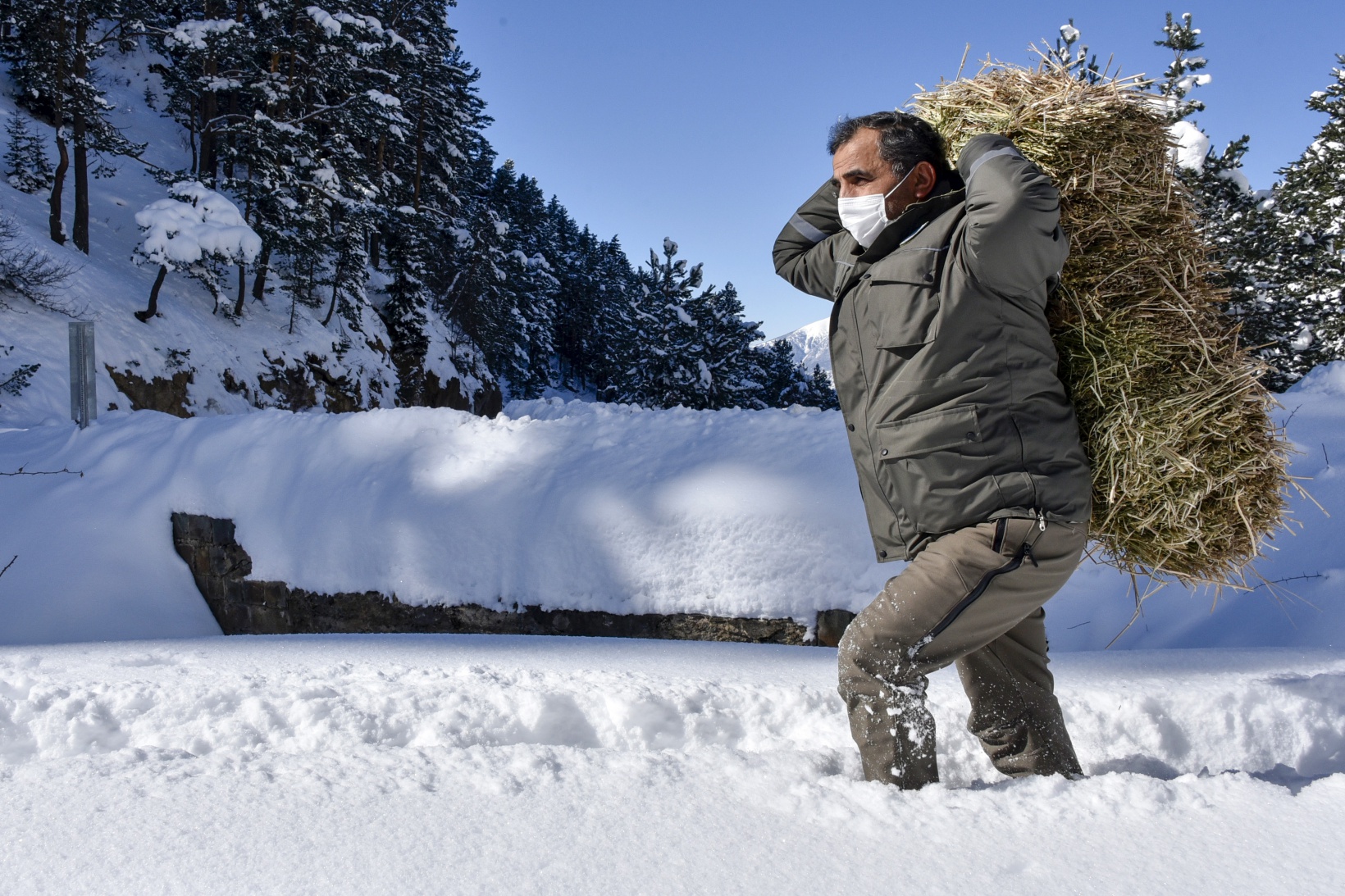 Gümüşhane'de yaban hayvanları aç bırakılmıyor 24