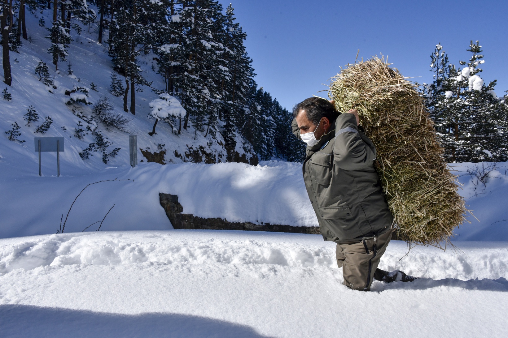 Gümüşhane'de yaban hayvanları aç bırakılmıyor 26