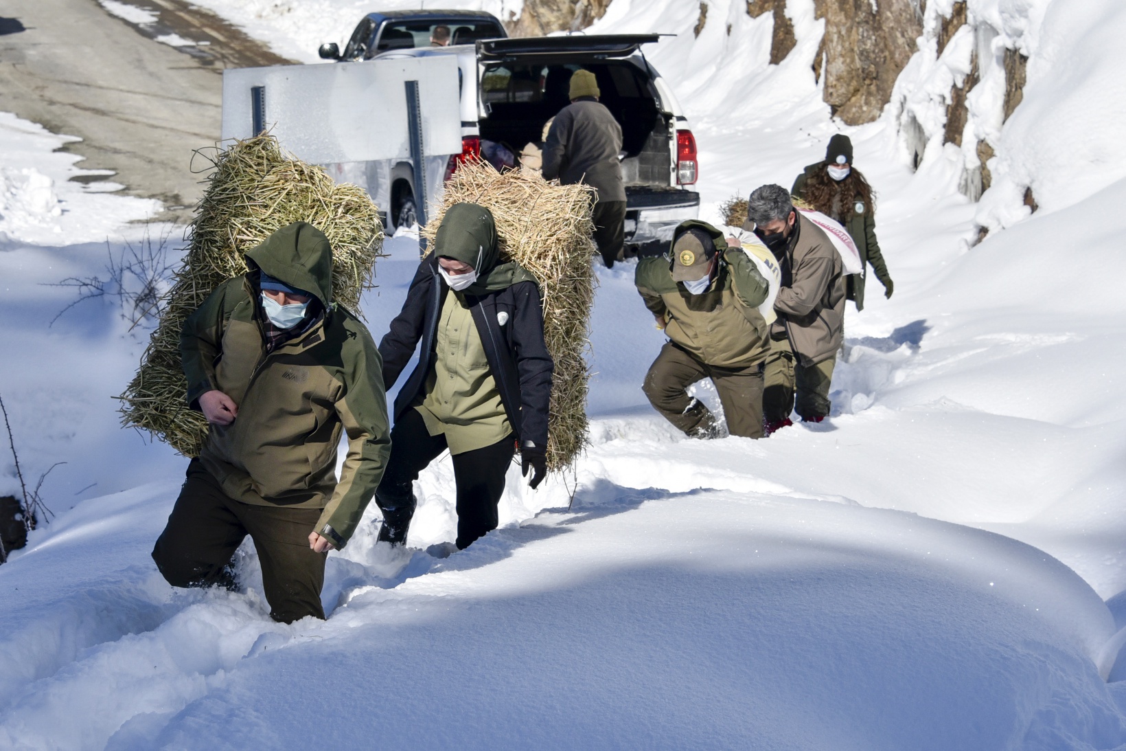 Gümüşhane'de yaban hayvanları aç bırakılmıyor 17