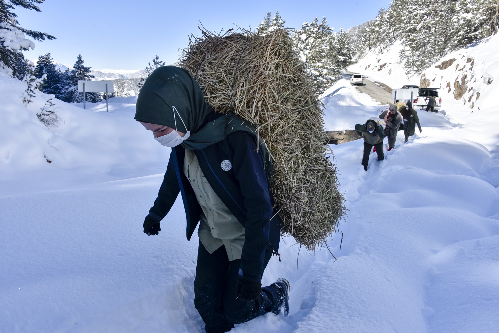 Gümüşhane'de yaban hayvanları aç bırakılmıyor 22