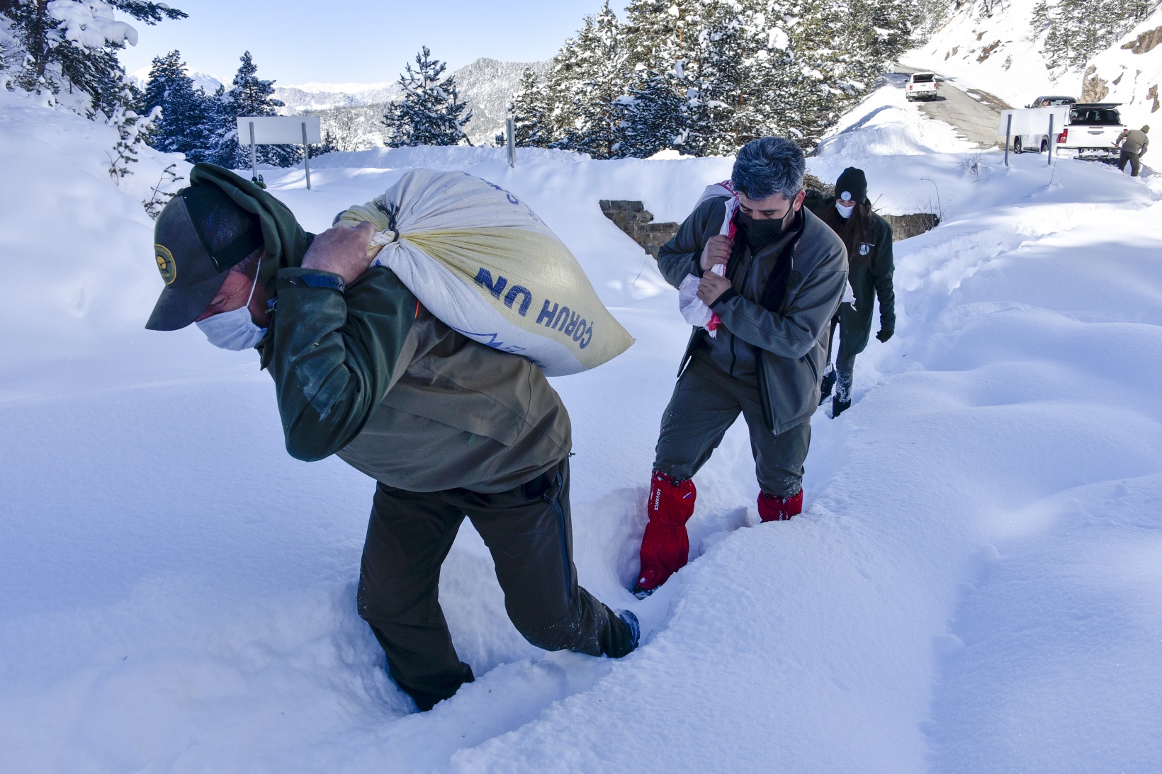 Gümüşhane'de yaban hayvanları aç bırakılmıyor 14