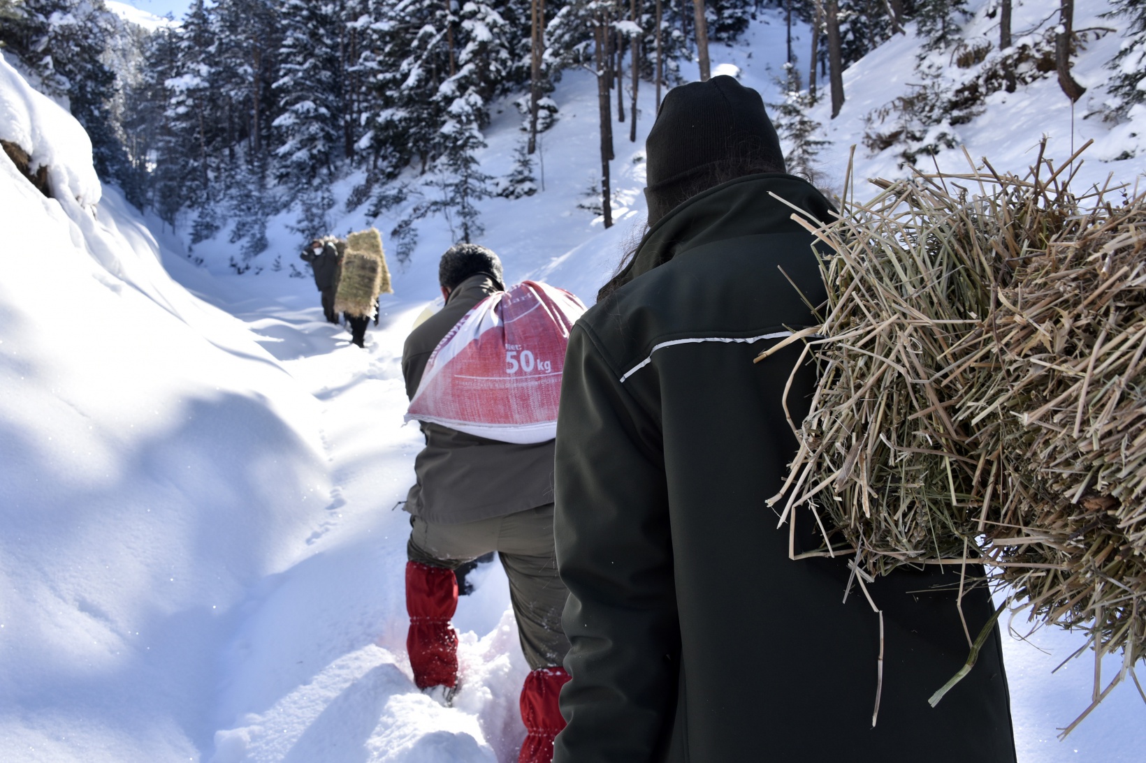 Gümüşhane'de yaban hayvanları aç bırakılmıyor 21