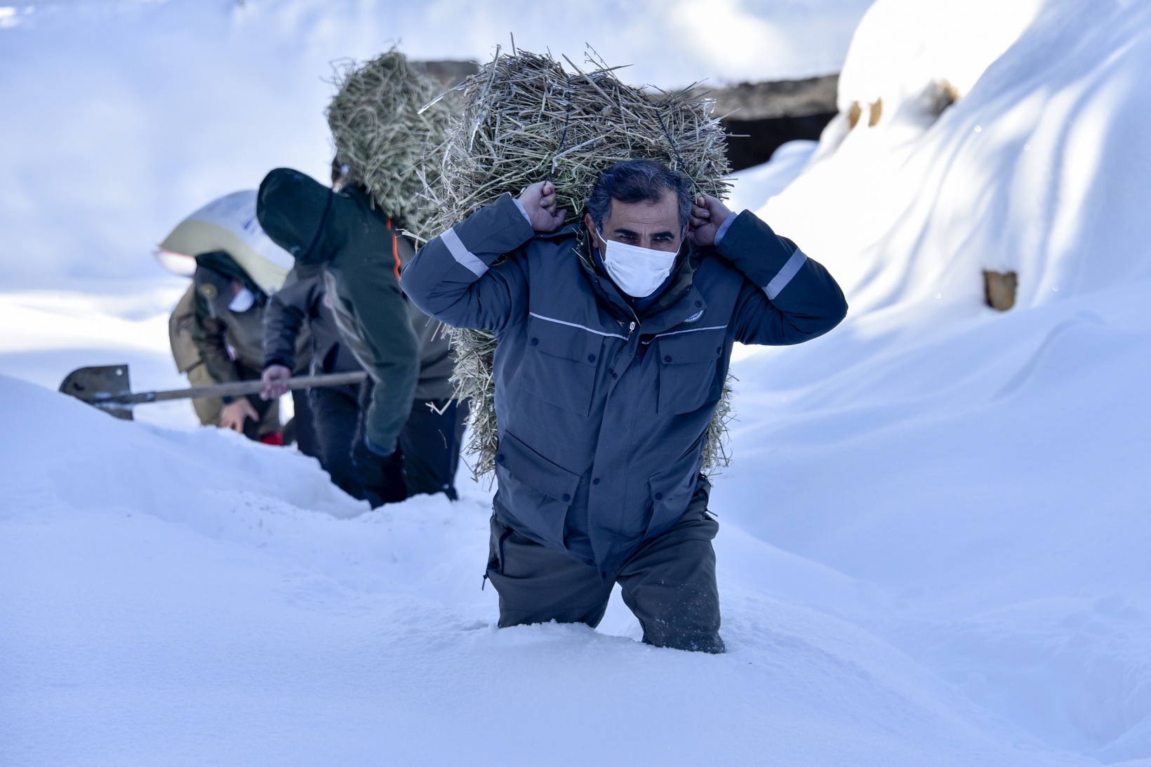 Gümüşhane'de yaban hayvanları aç bırakılmıyor 9