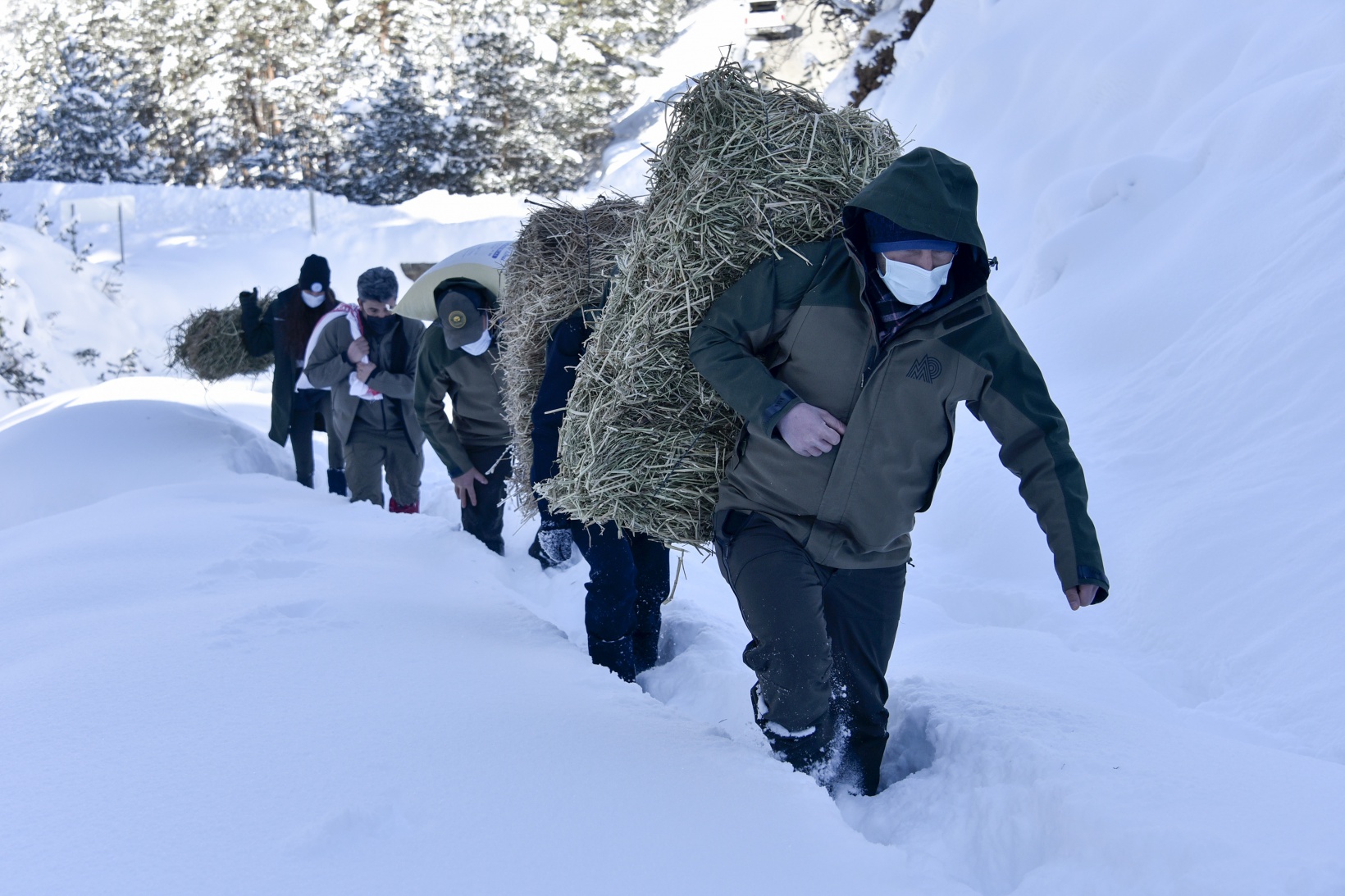 Gümüşhane'de yaban hayvanları aç bırakılmıyor 13