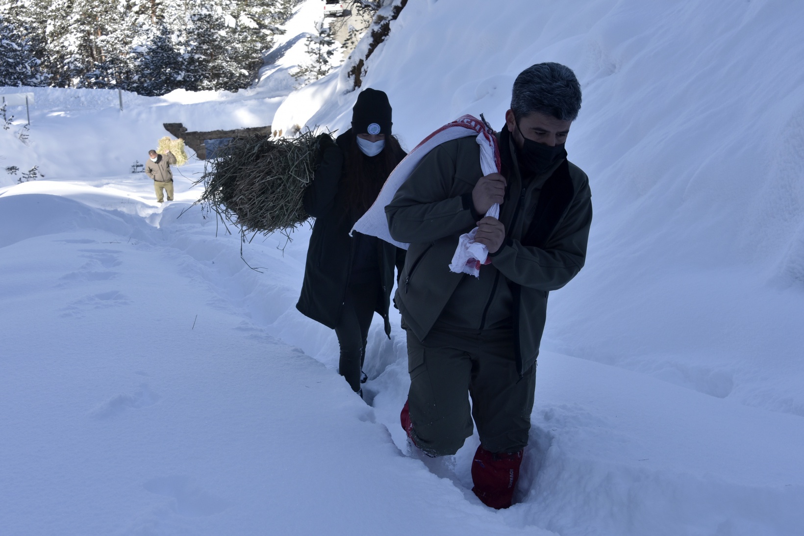 Gümüşhane'de yaban hayvanları aç bırakılmıyor 11