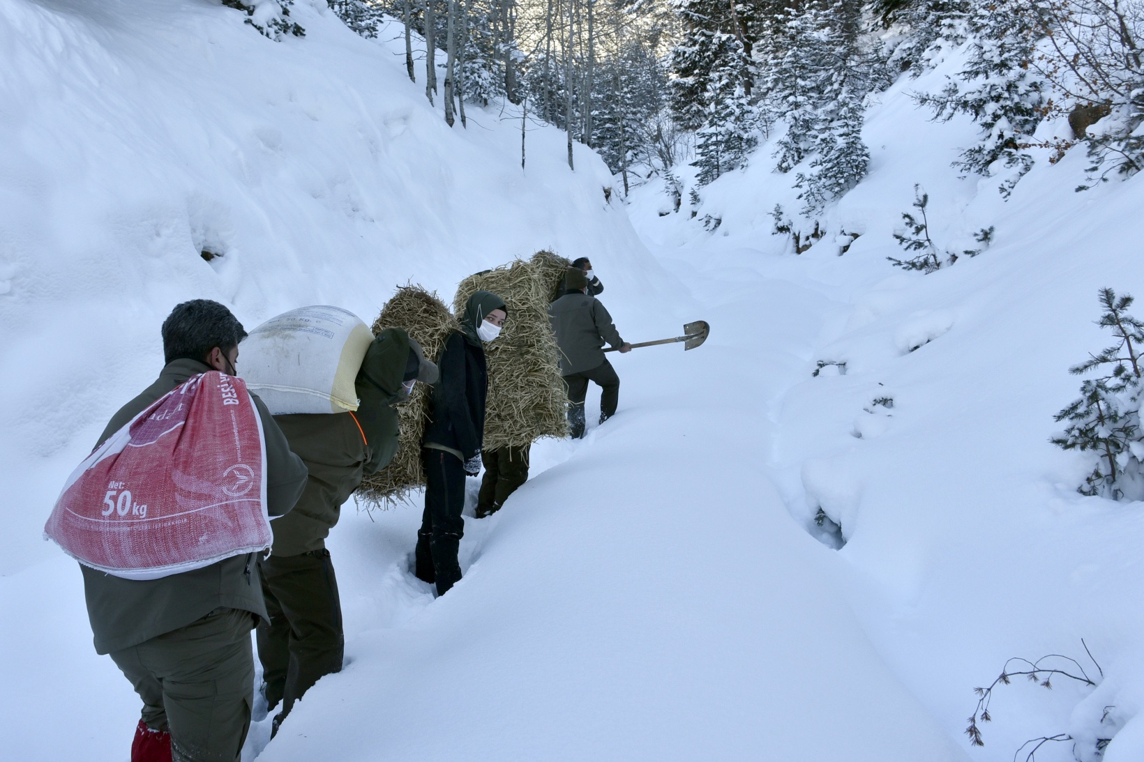 Gümüşhane'de yaban hayvanları aç bırakılmıyor 5