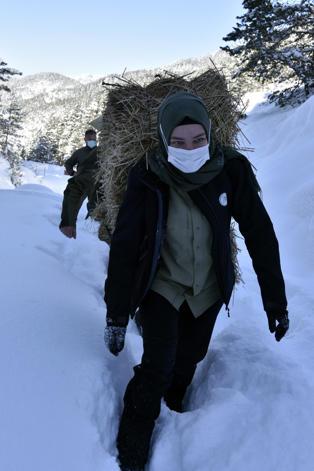 Gümüşhane'de yaban hayvanları aç bırakılmıyor 12