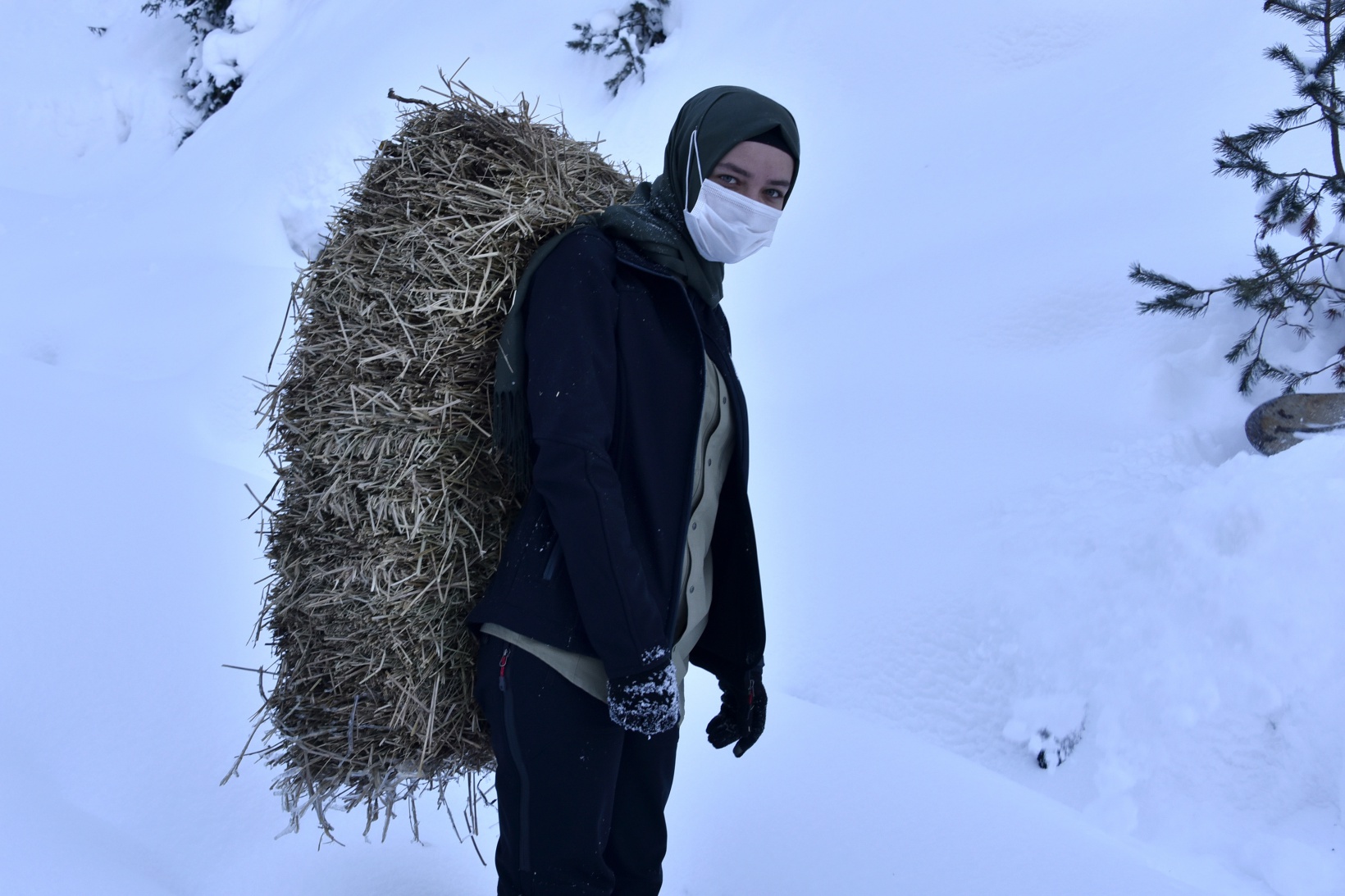 Gümüşhane'de yaban hayvanları aç bırakılmıyor 10