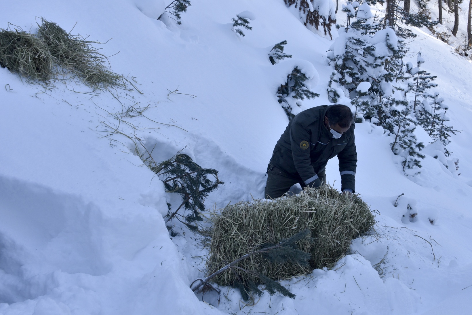Gümüşhane'de yaban hayvanları aç bırakılmıyor 15