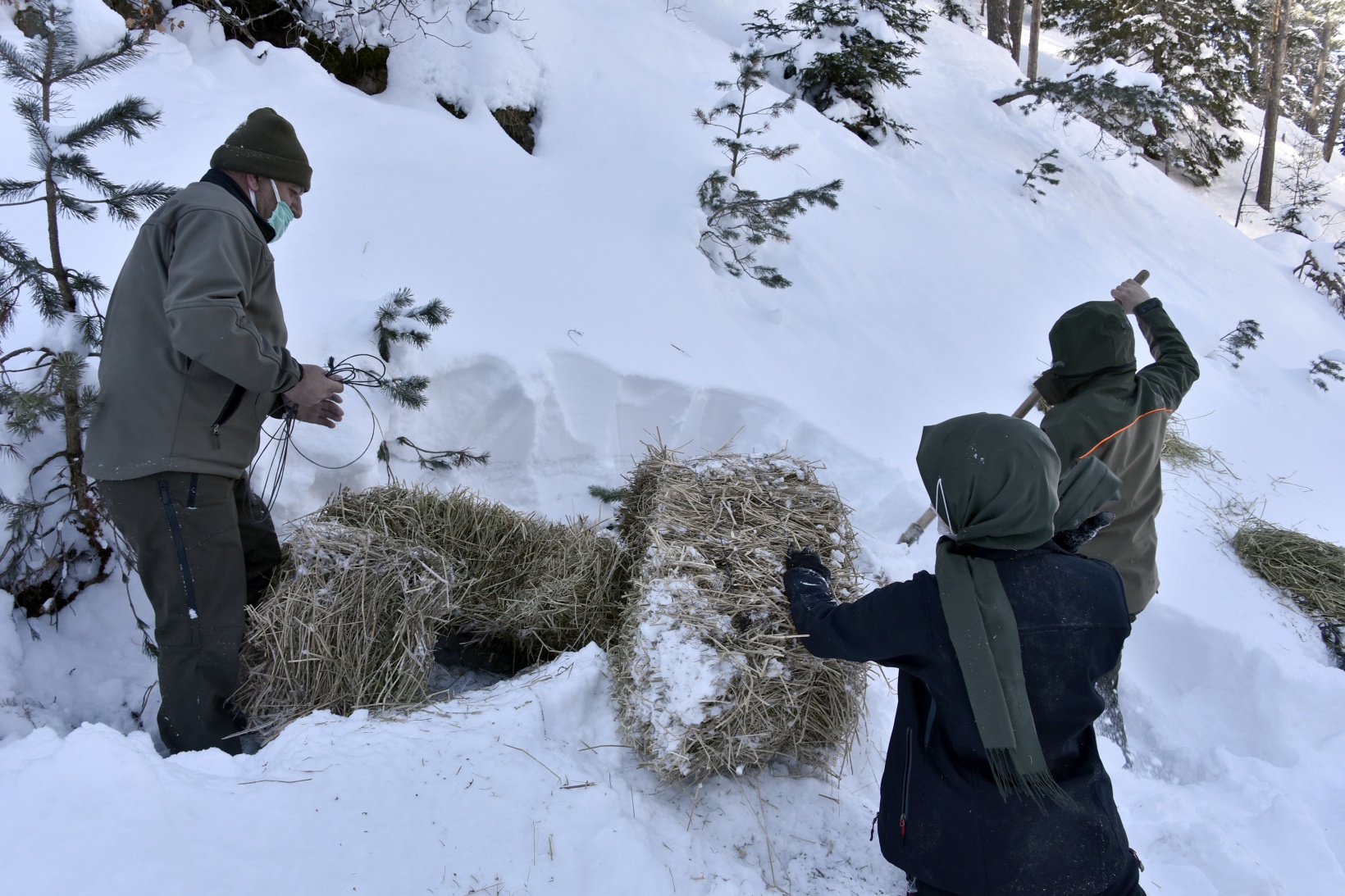 Gümüşhane'de yaban hayvanları aç bırakılmıyor 16
