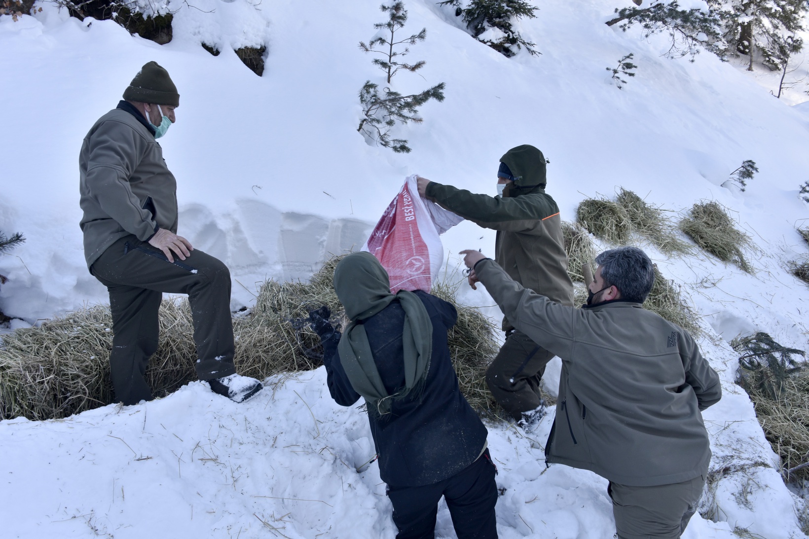 Gümüşhane'de yaban hayvanları aç bırakılmıyor 2