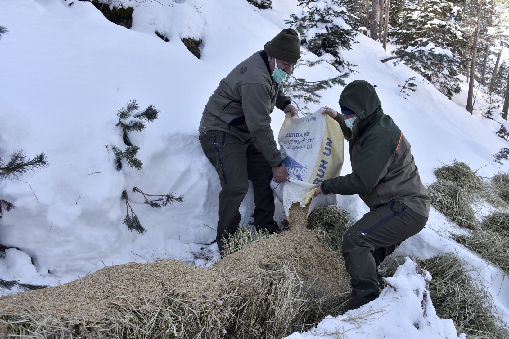 Gümüşhane'de yaban hayvanları aç bırakılmıyor 23