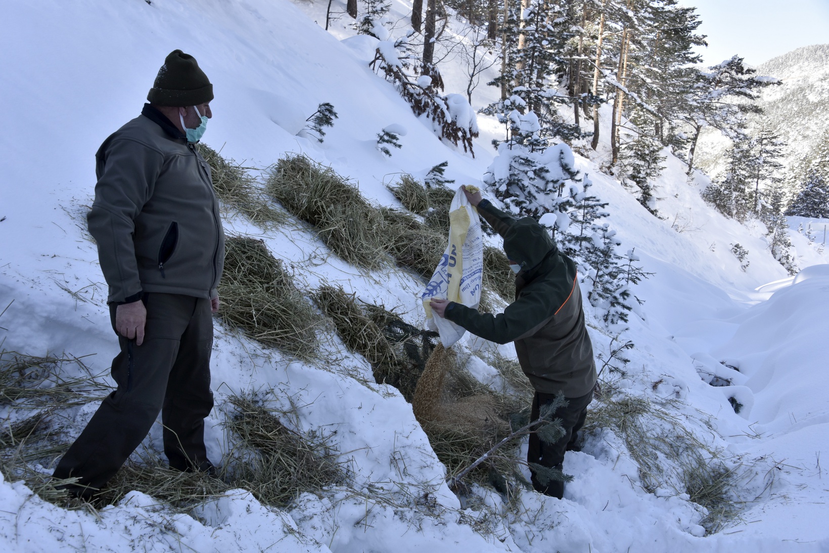 Gümüşhane'de yaban hayvanları aç bırakılmıyor 25