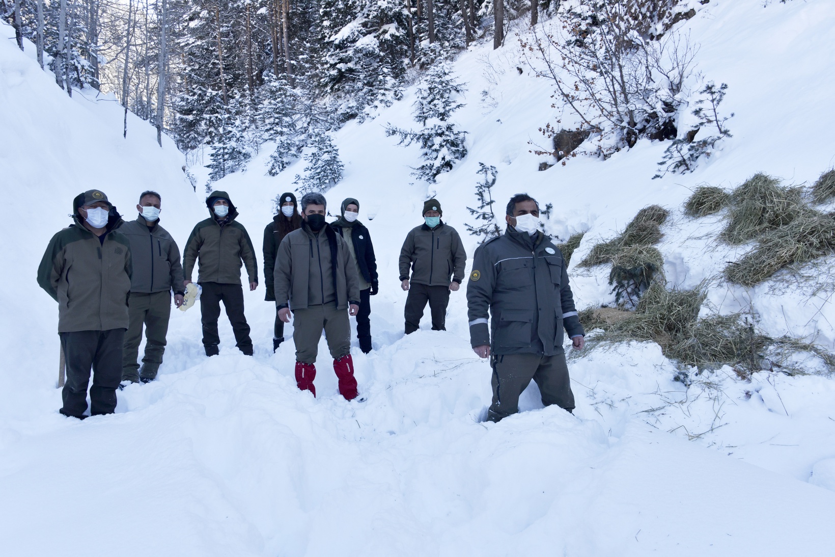 Gümüşhane'de yaban hayvanları aç bırakılmıyor 6