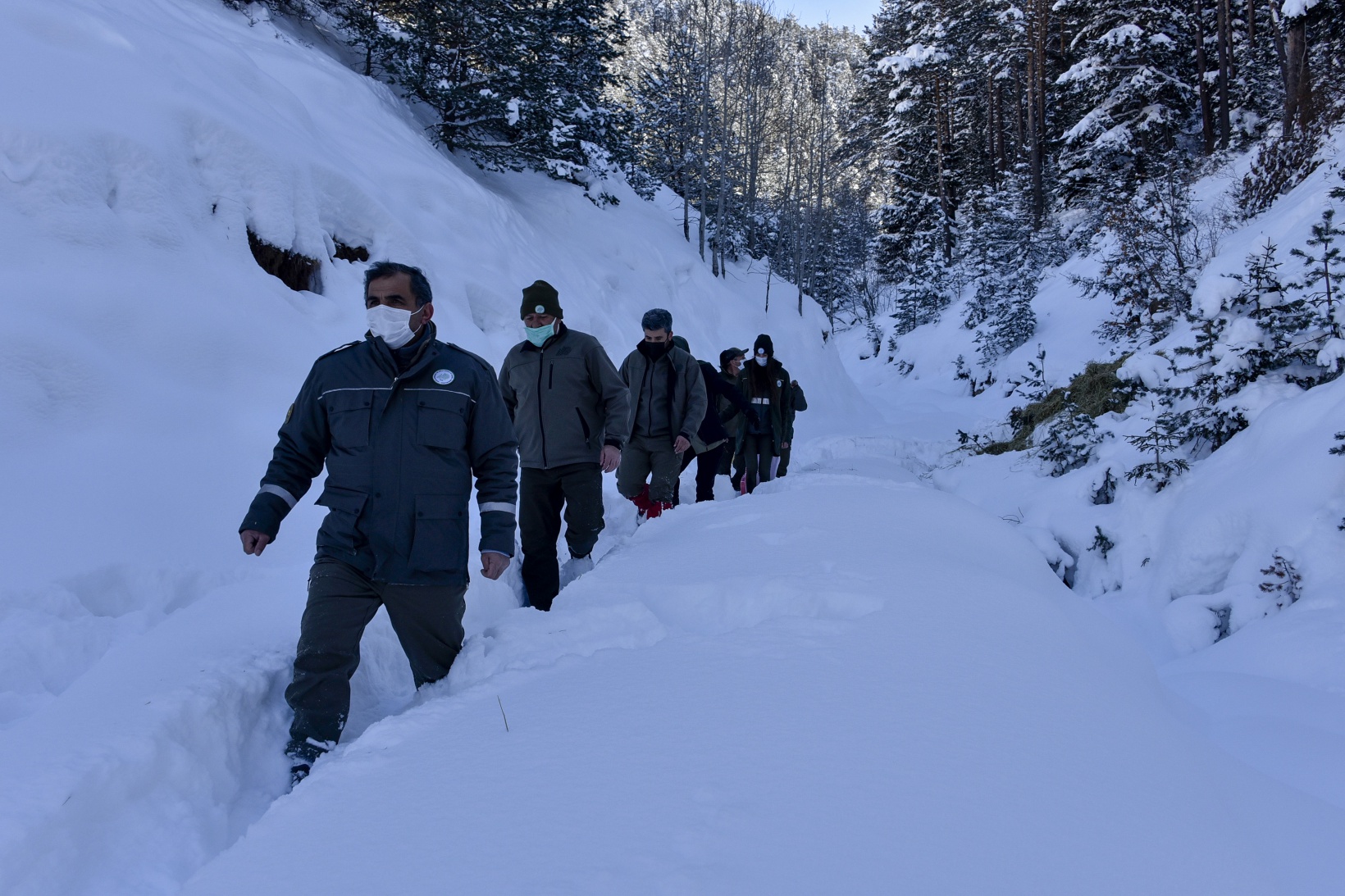 Gümüşhane'de yaban hayvanları aç bırakılmıyor 18