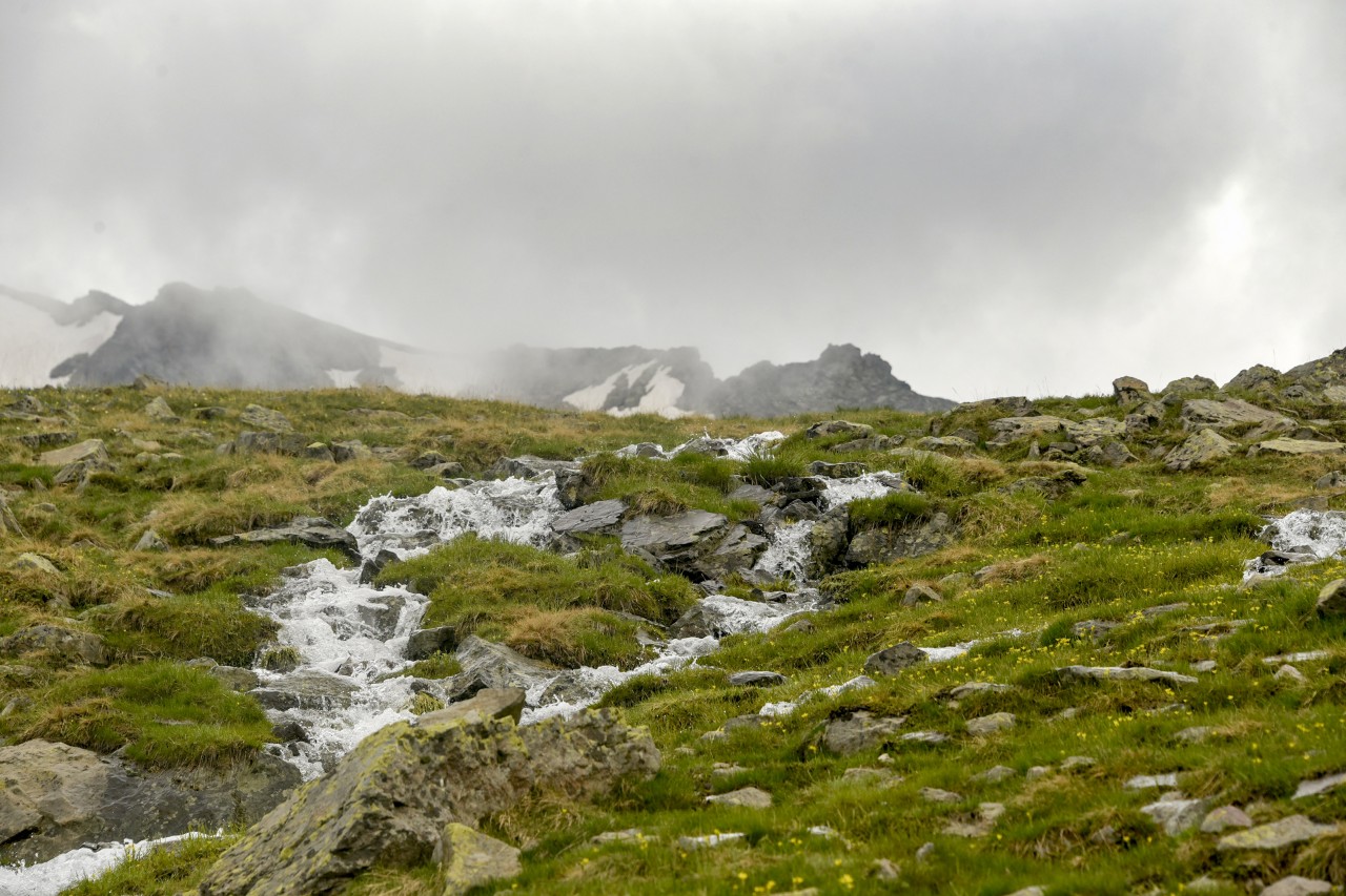 Yılın en sıradışı iftar programı Gümüşhane’den 8