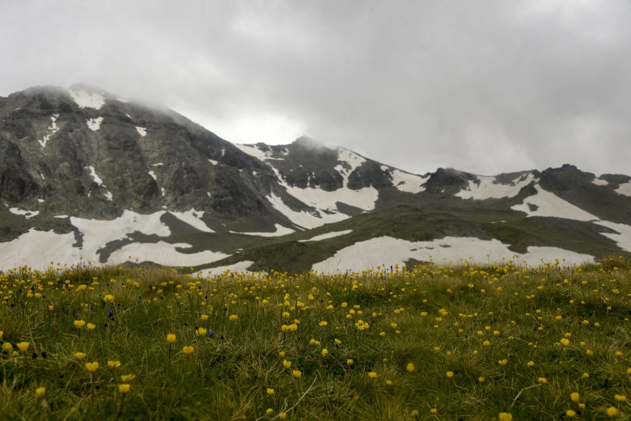 Yılın en sıradışı iftar programı Gümüşhane’den 14