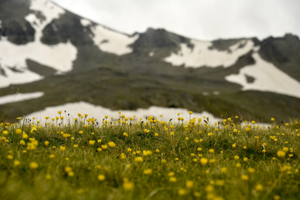 Yılın en sıradışı iftar programı Gümüşhane’den 15