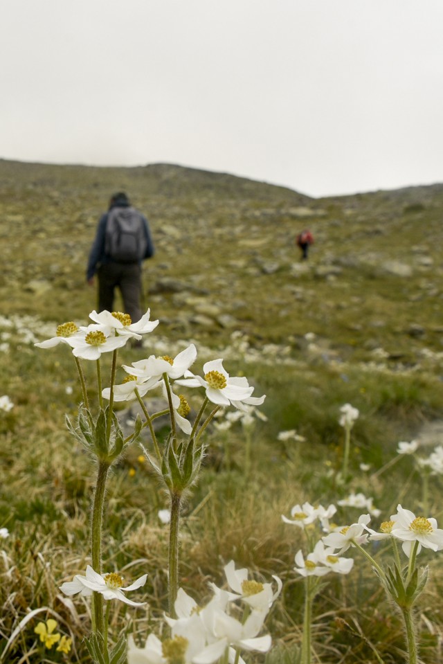Yılın en sıradışı iftar programı Gümüşhane’den 18