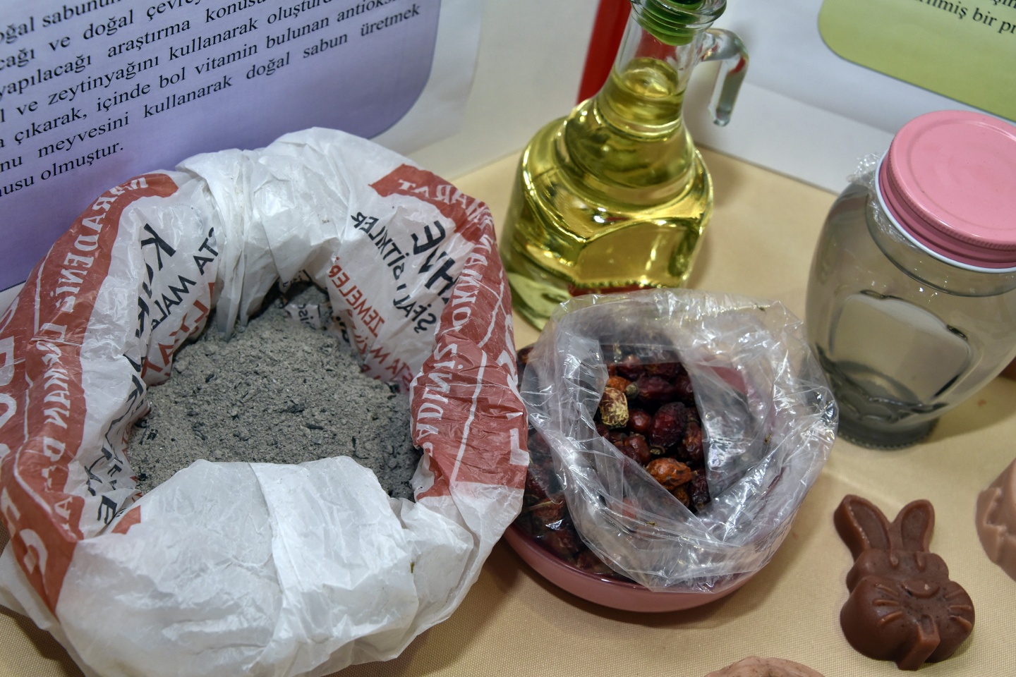 Geleceğin bilim adamları spor salonuna sığmadı 11