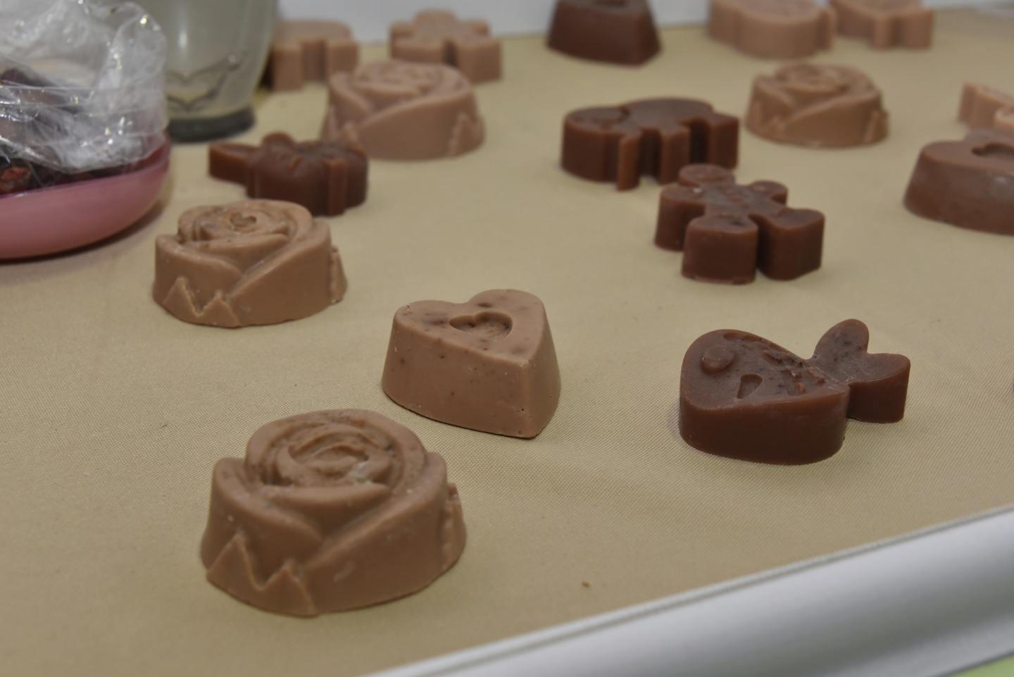 Geleceğin bilim adamları spor salonuna sığmadı 19