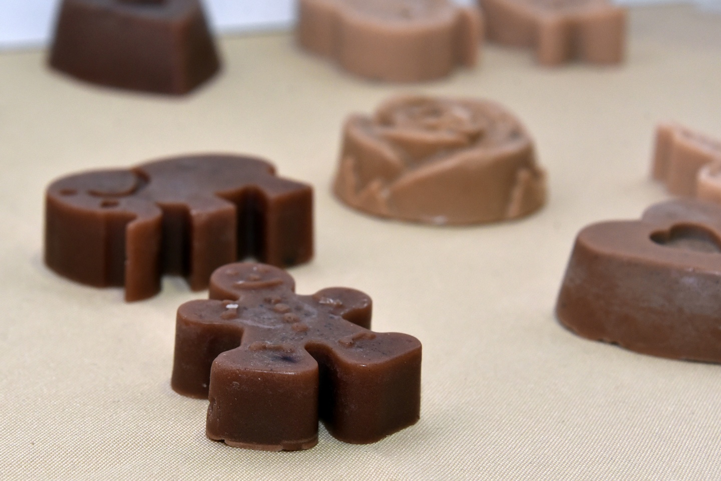 Geleceğin bilim adamları spor salonuna sığmadı 16