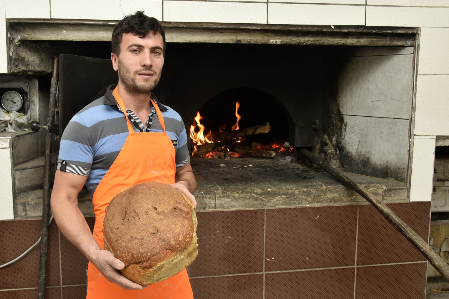 Bu köy buram buram ekmek kokuyor 23