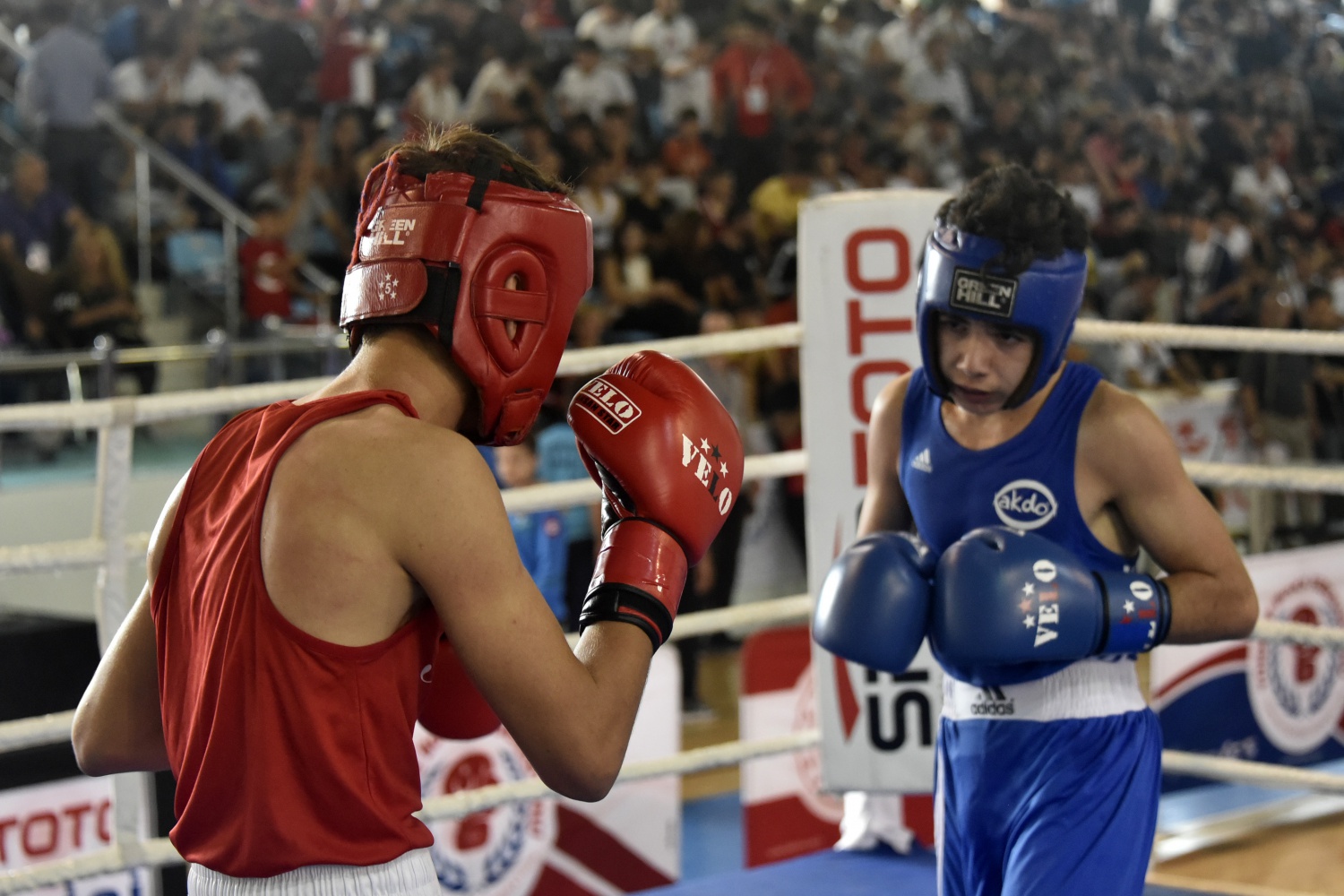 Üst Minikler Türkiye Ferdi Boks Şampiyonası Gümüşhane’de başladı 5