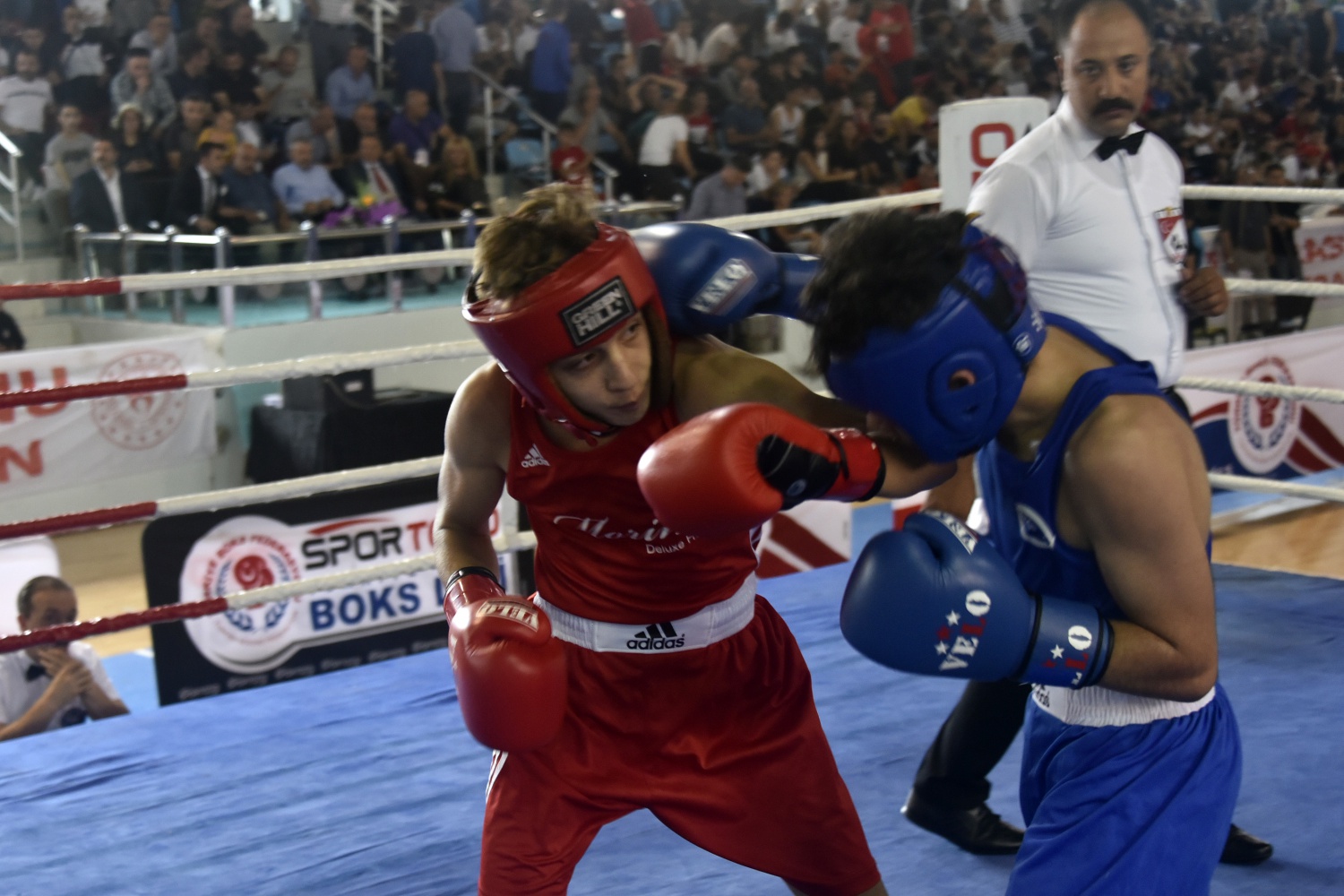 Üst Minikler Türkiye Ferdi Boks Şampiyonası Gümüşhane’de başladı 15