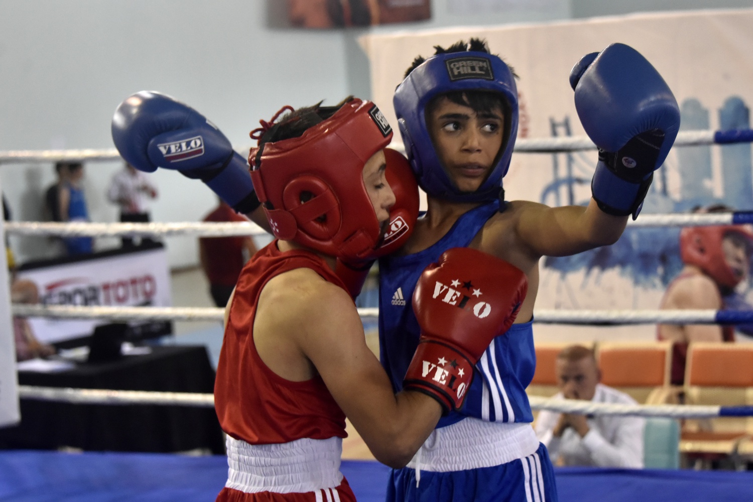 Üst Minikler Türkiye Ferdi Boks Şampiyonası Gümüşhane’de başladı 24