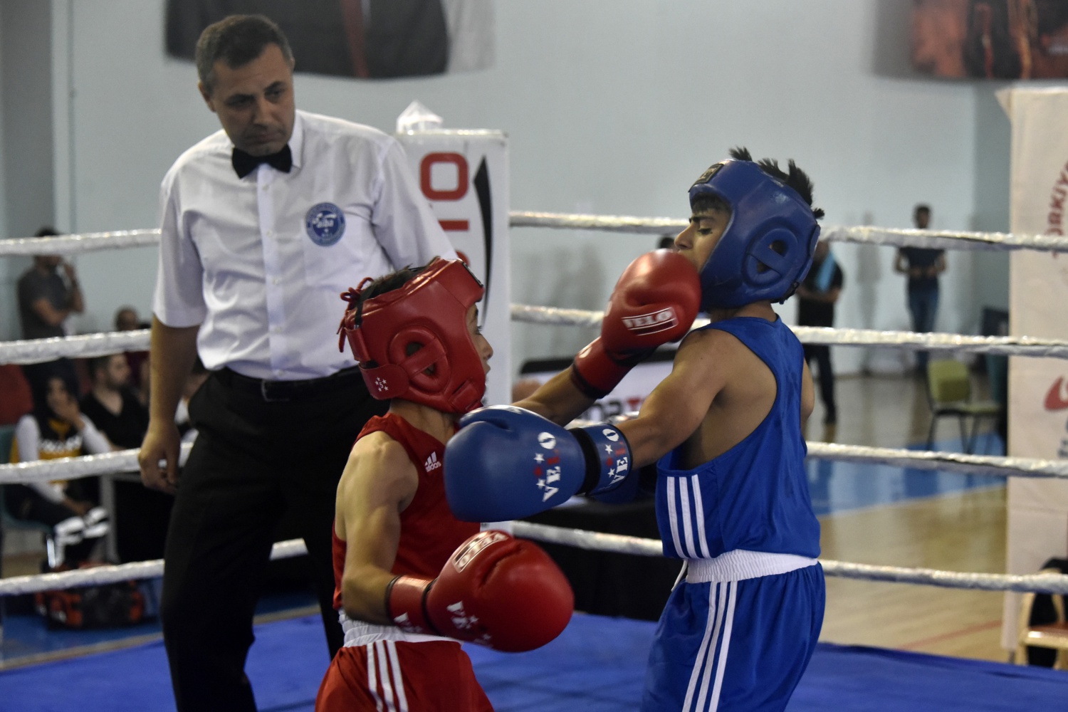 Üst Minikler Türkiye Ferdi Boks Şampiyonası Gümüşhane’de başladı 13