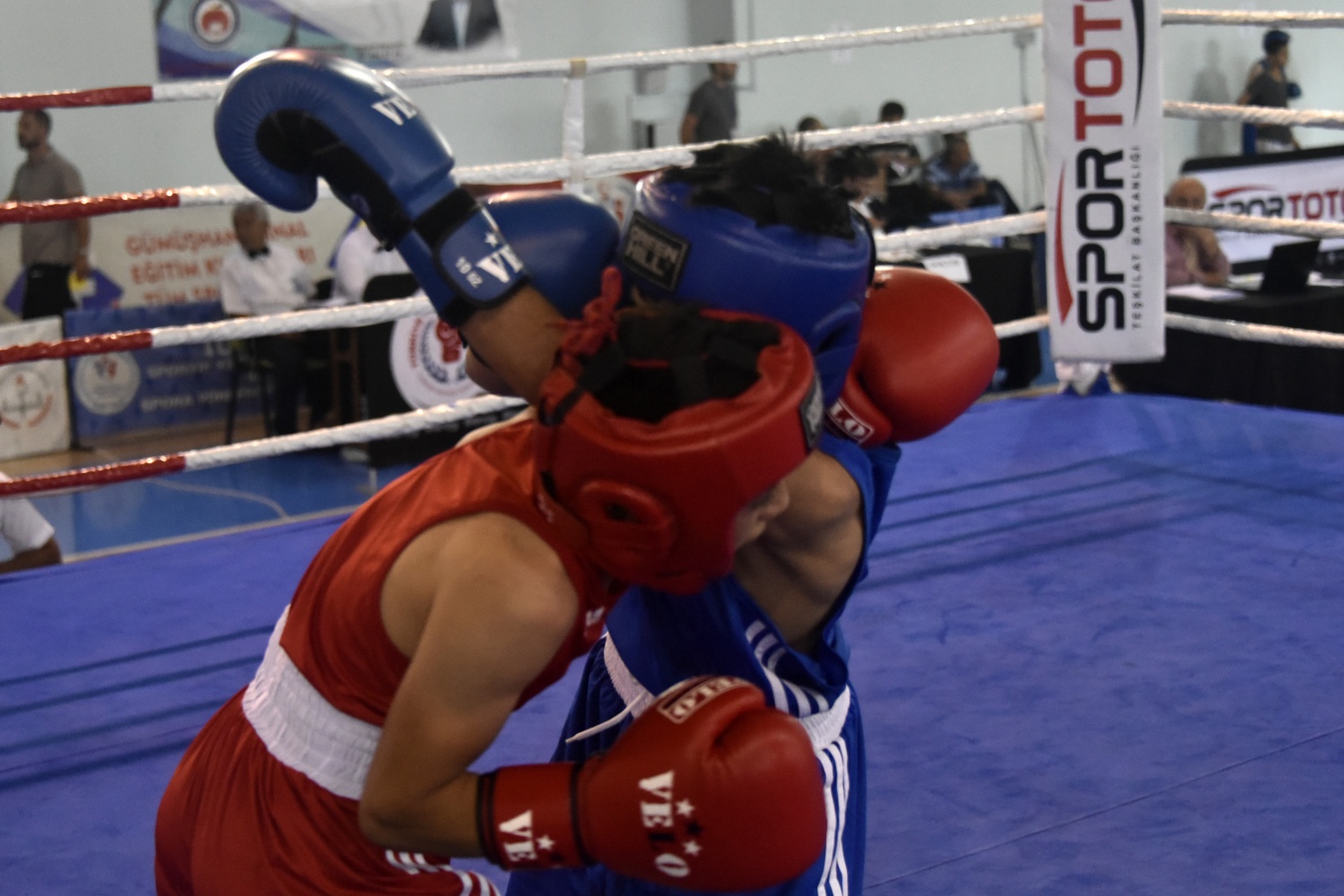 Üst Minikler Türkiye Ferdi Boks Şampiyonası Gümüşhane’de başladı 22