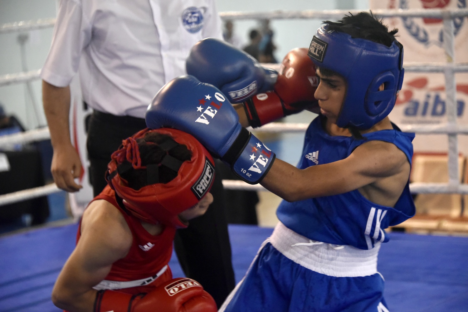 Üst Minikler Türkiye Ferdi Boks Şampiyonası Gümüşhane’de başladı 19