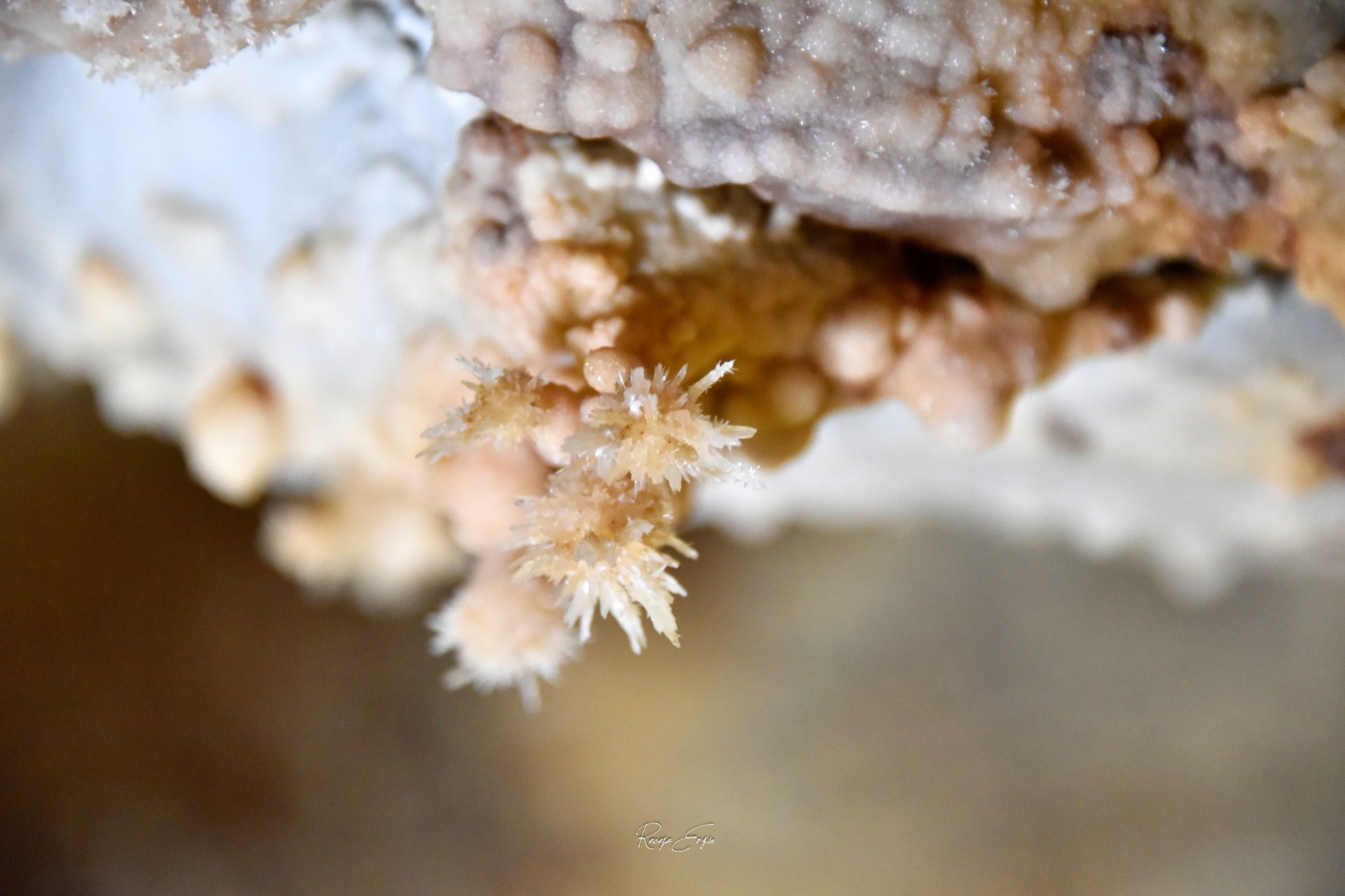 Gümüşhane’nin yeraltı sarayını 121 bin kişi ziyaret etti 19