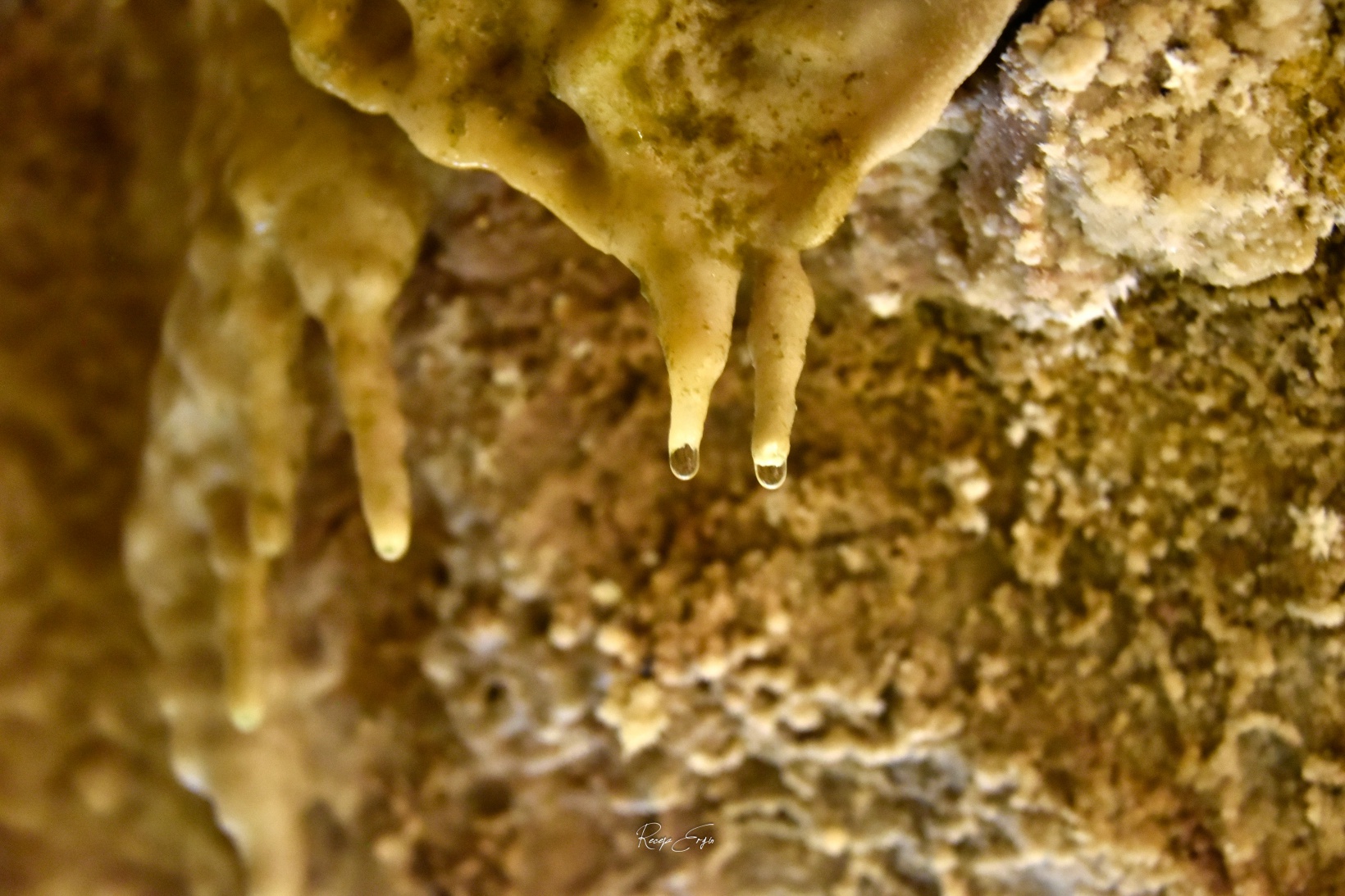 Gümüşhane’nin yeraltı sarayını 121 bin kişi ziyaret etti 22