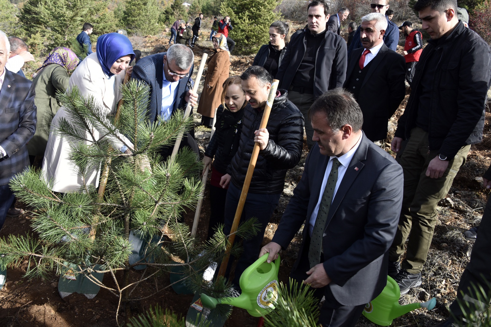 Gümüşhane’de 'Milli Ağaçlandırma Gününde' 70 bin fidan toprakla buluştu 8