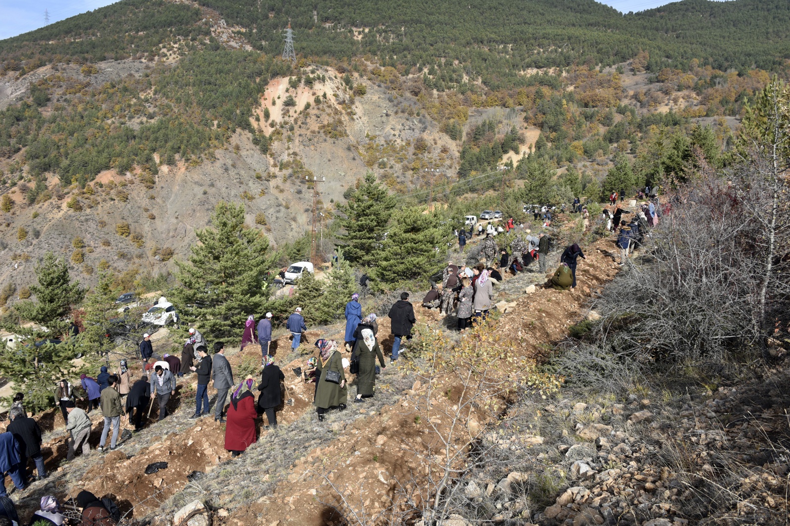 Gümüşhane’de 'Milli Ağaçlandırma Gününde' 70 bin fidan toprakla buluştu 18