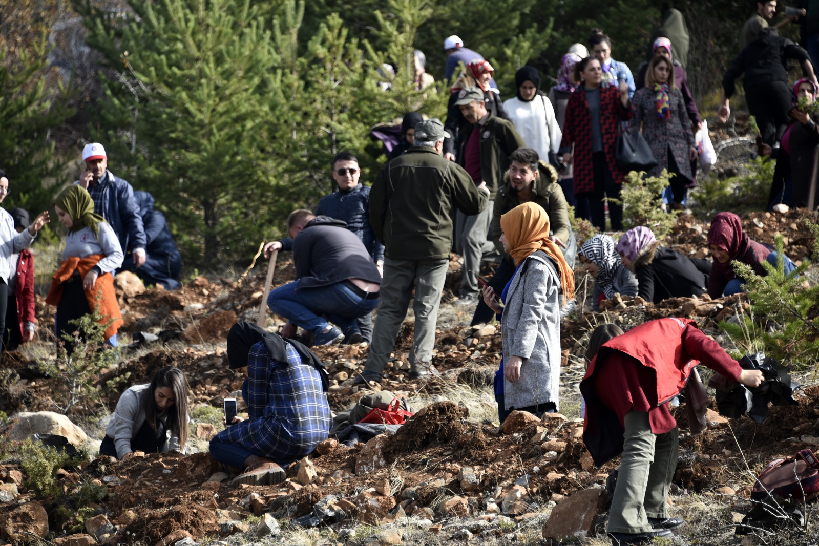 Gümüşhane’de 'Milli Ağaçlandırma Gününde' 70 bin fidan toprakla buluştu 11