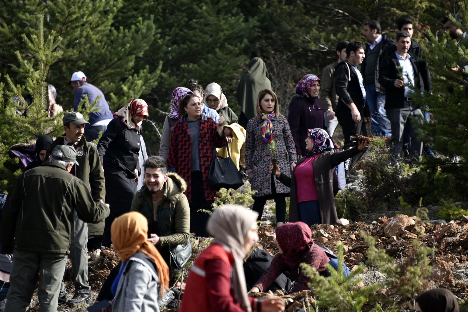 Gümüşhane’de 'Milli Ağaçlandırma Gününde' 70 bin fidan toprakla buluştu 10