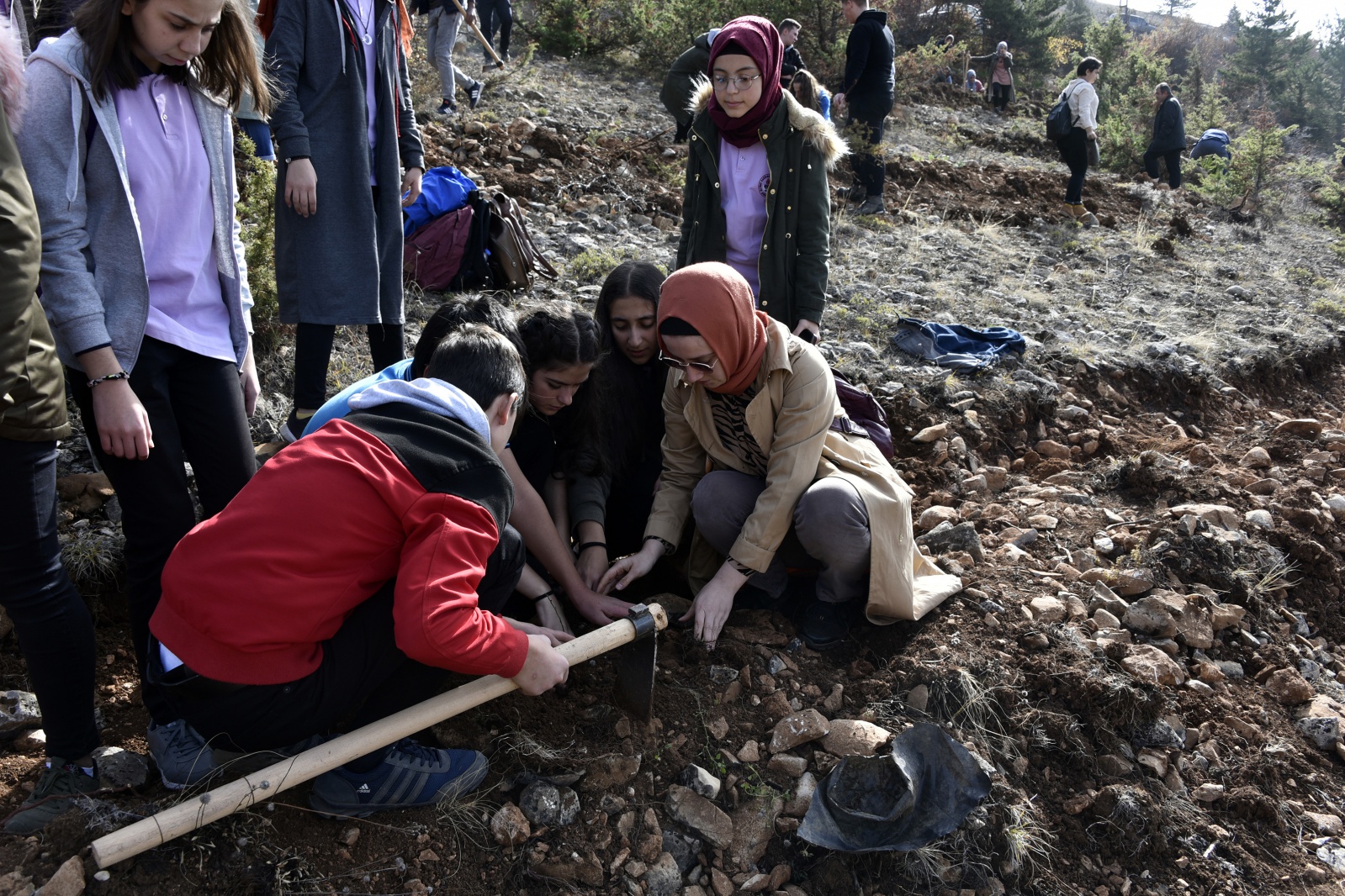Gümüşhane’de 'Milli Ağaçlandırma Gününde' 70 bin fidan toprakla buluştu 19