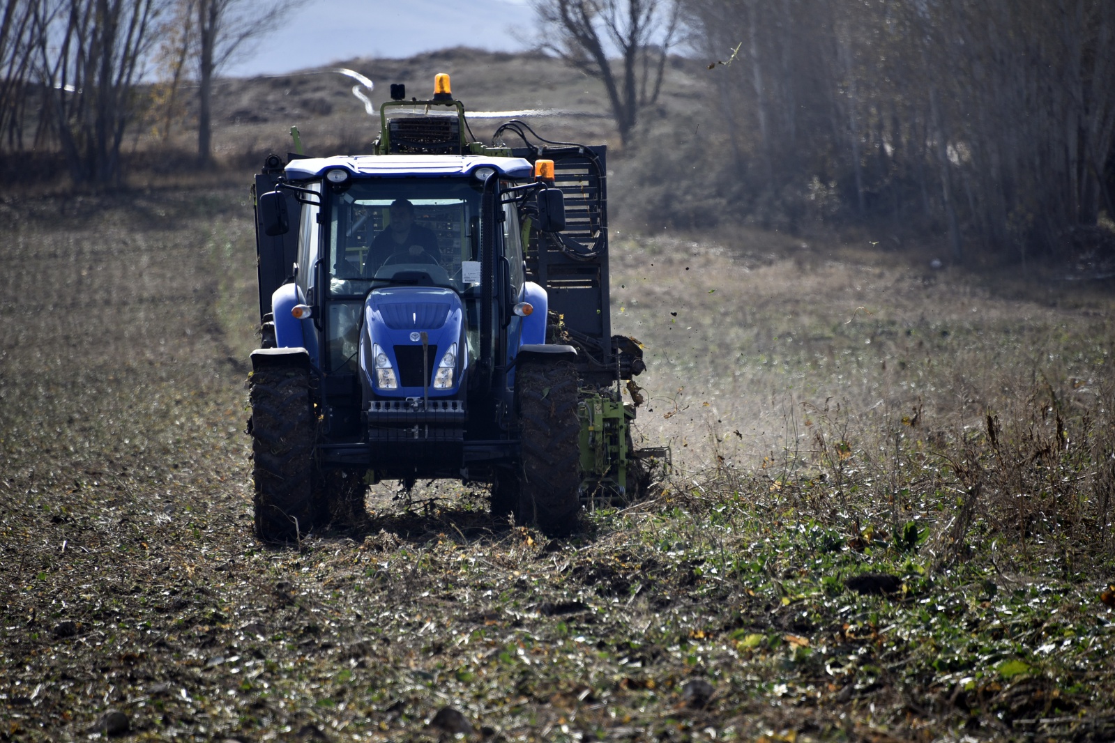 Gümüşhane’de şeker pancarı hasadı sıkıntılı başladı 1