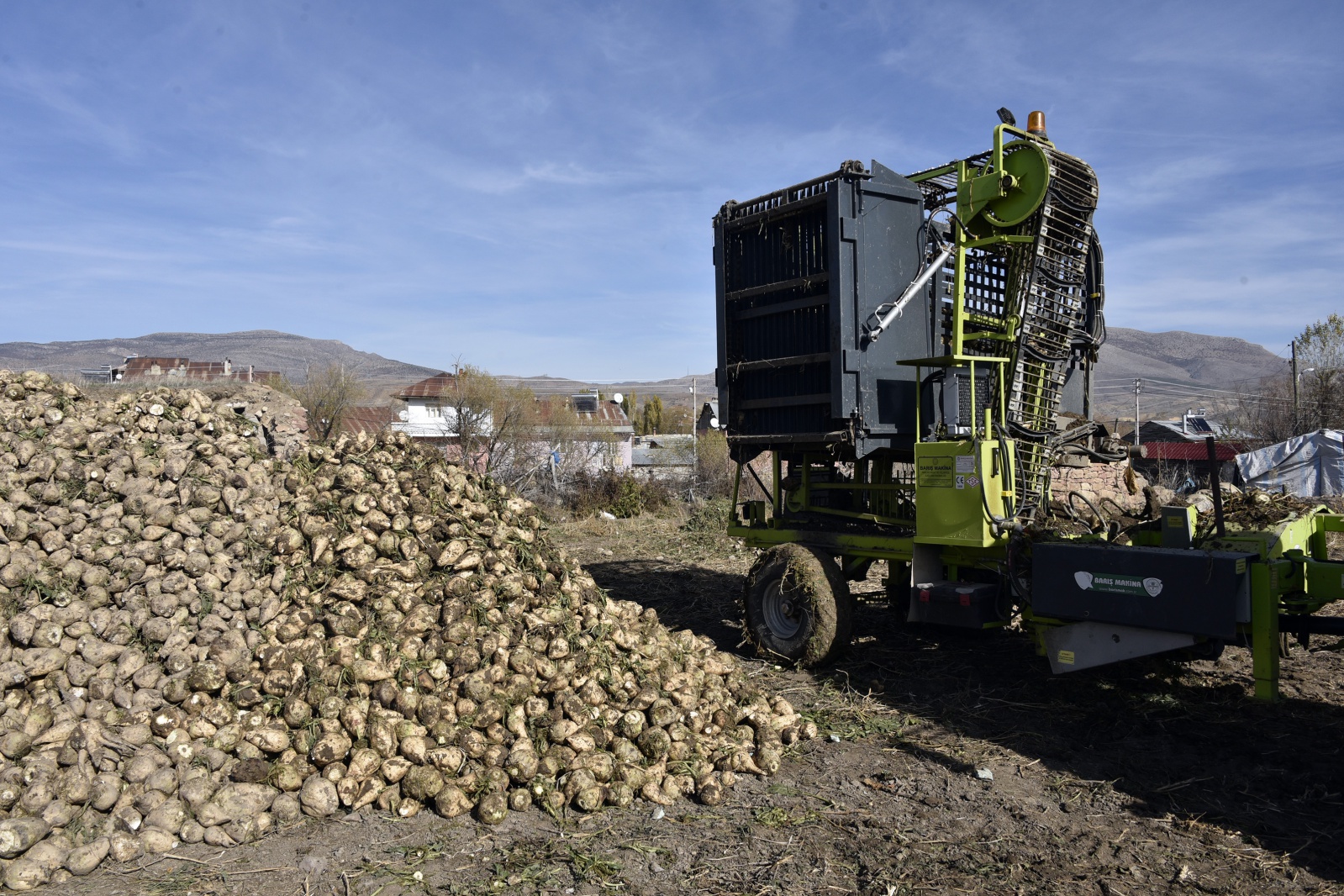 Gümüşhane’de şeker pancarı hasadı sıkıntılı başladı 3