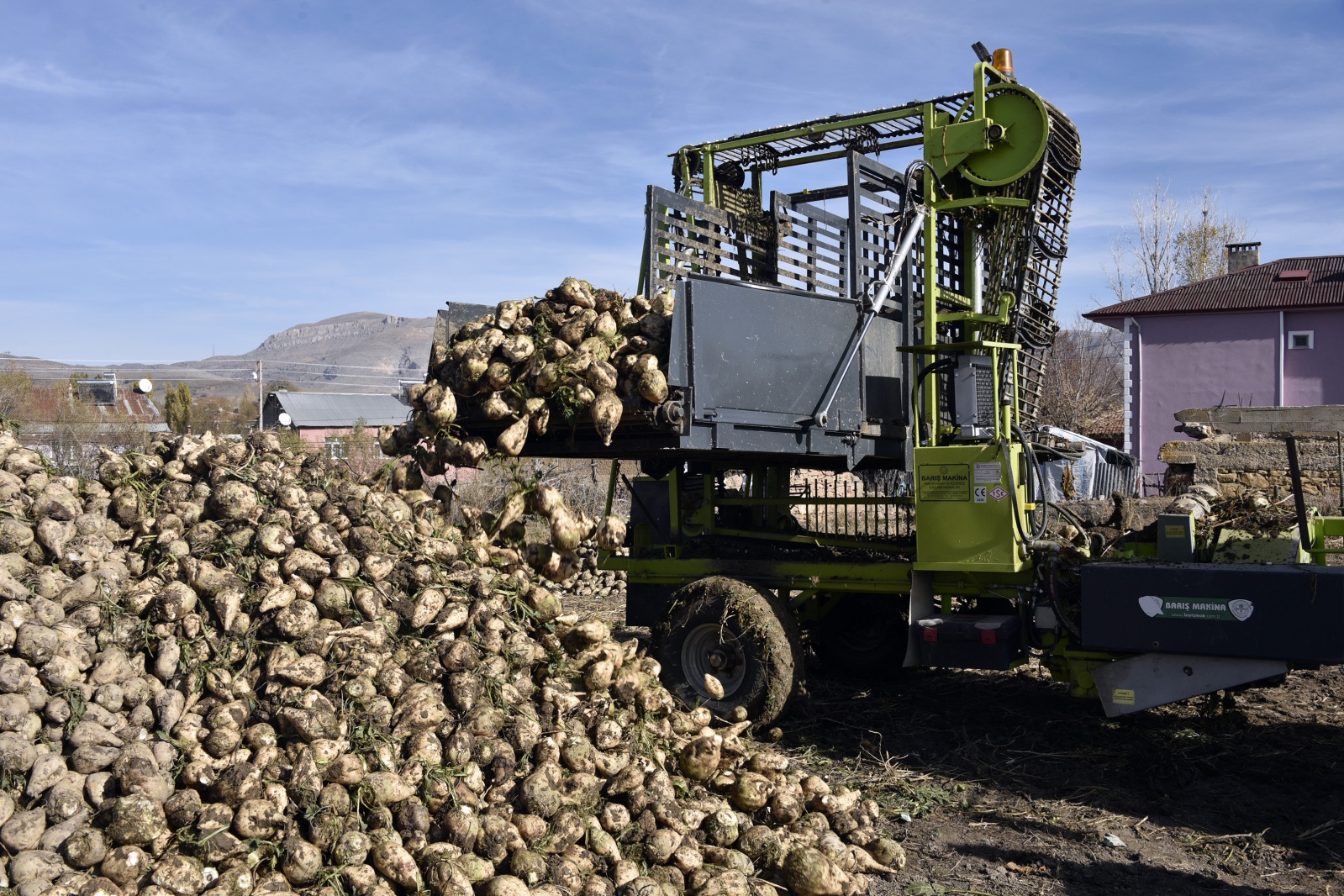 Gümüşhane’de şeker pancarı hasadı sıkıntılı başladı 10